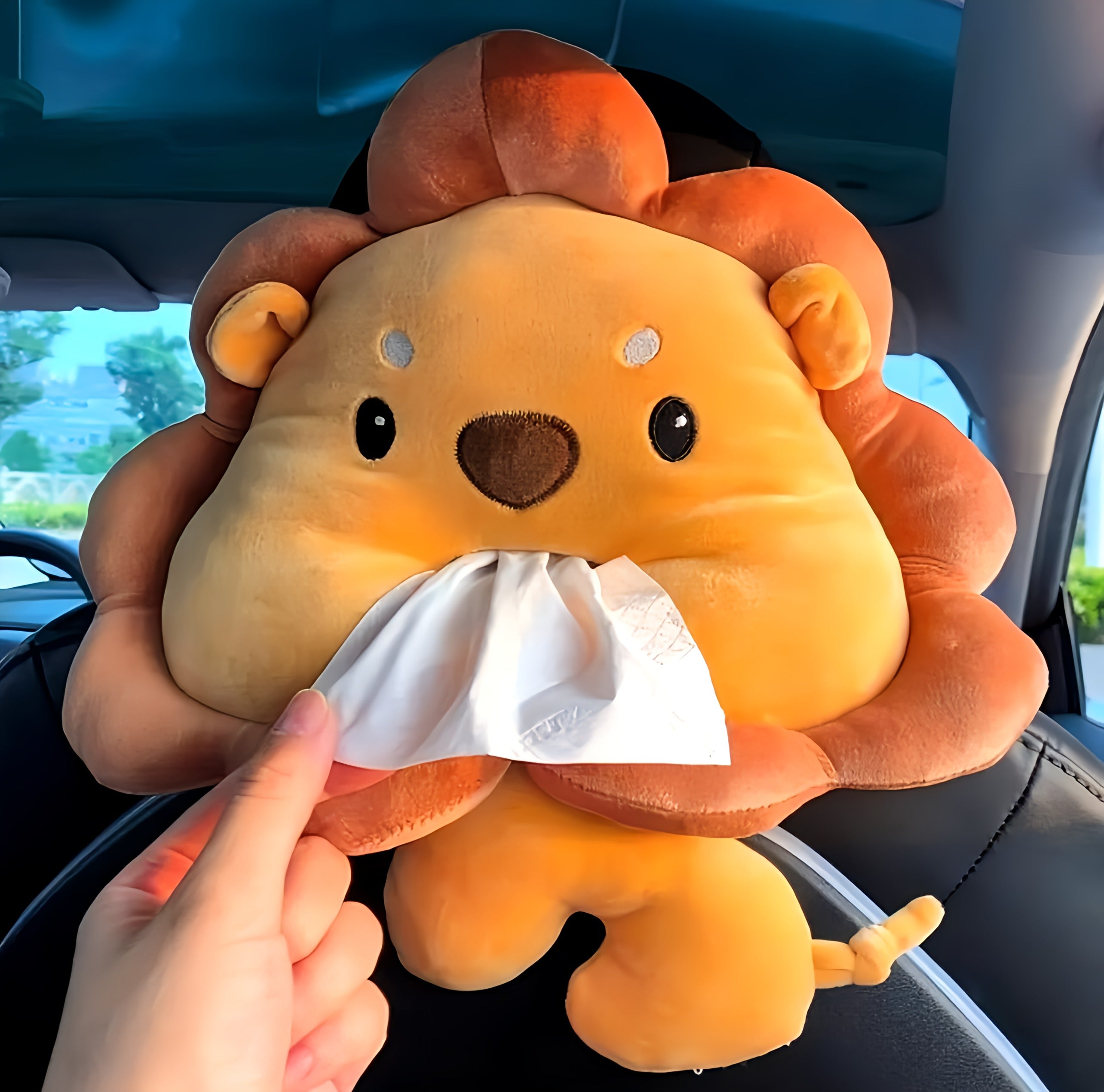 Car Tissue Holder