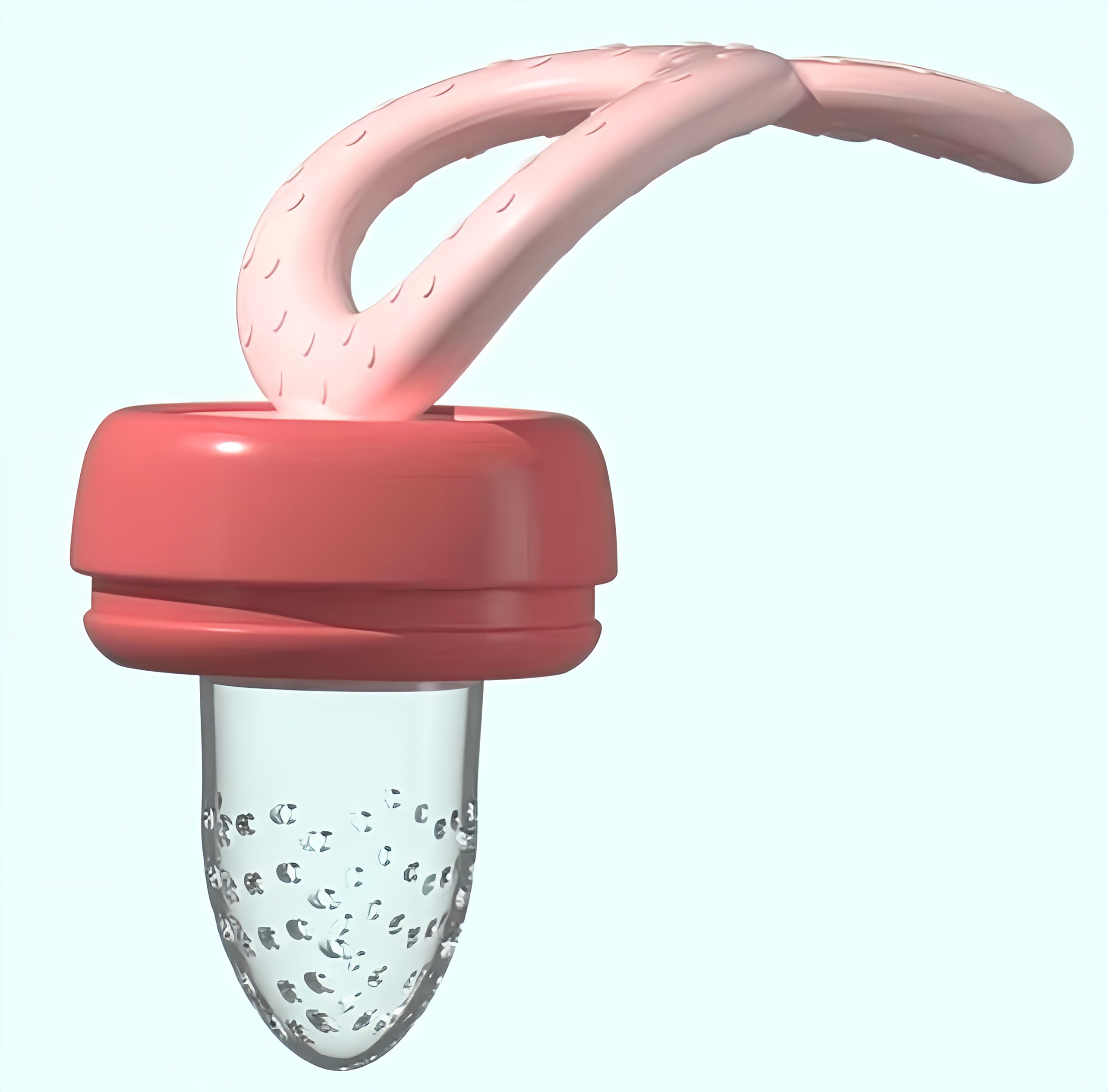 Baby Fruit Feeder Pacifier