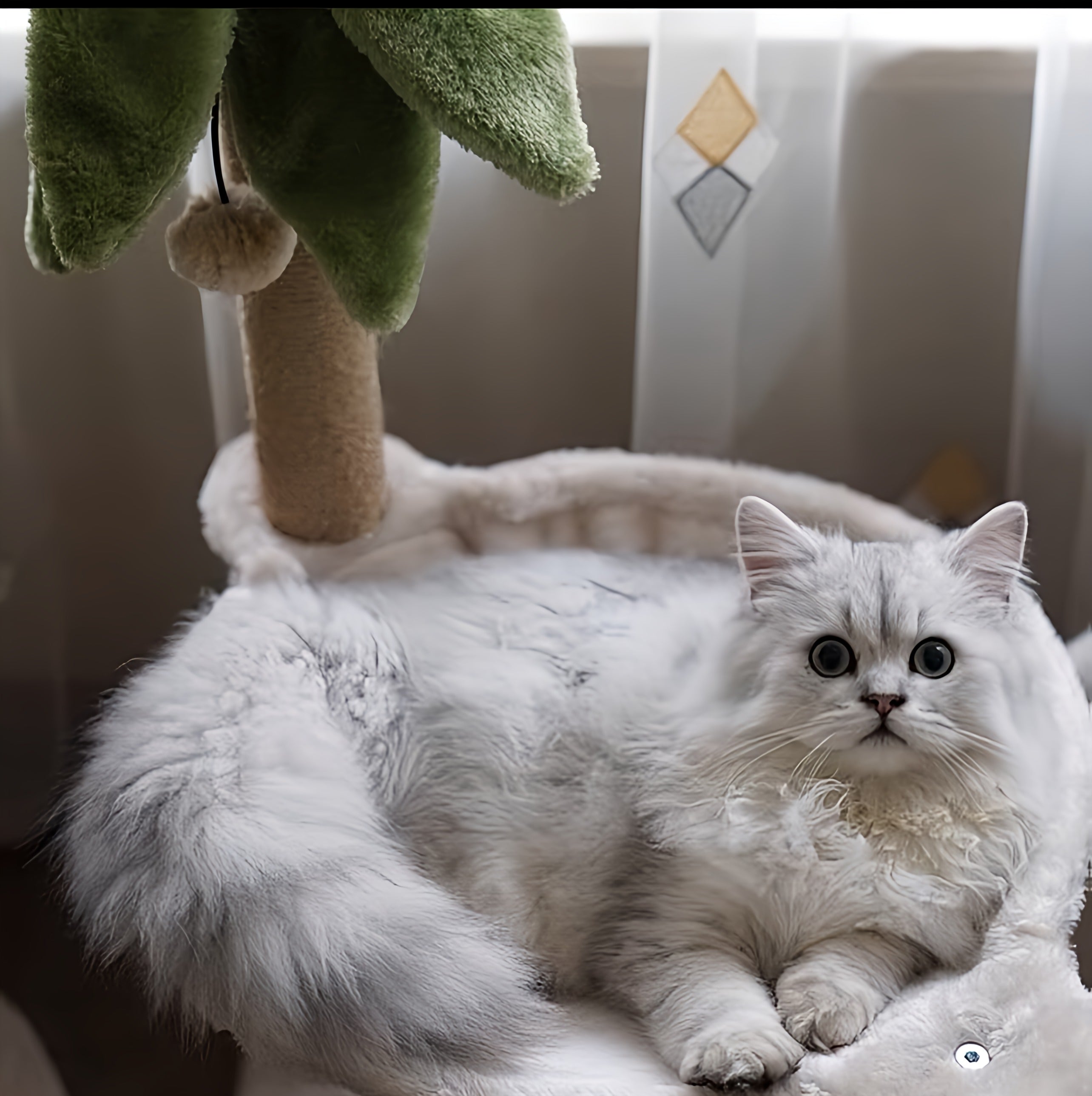 Cat’s Scratching Palm Tree Bed