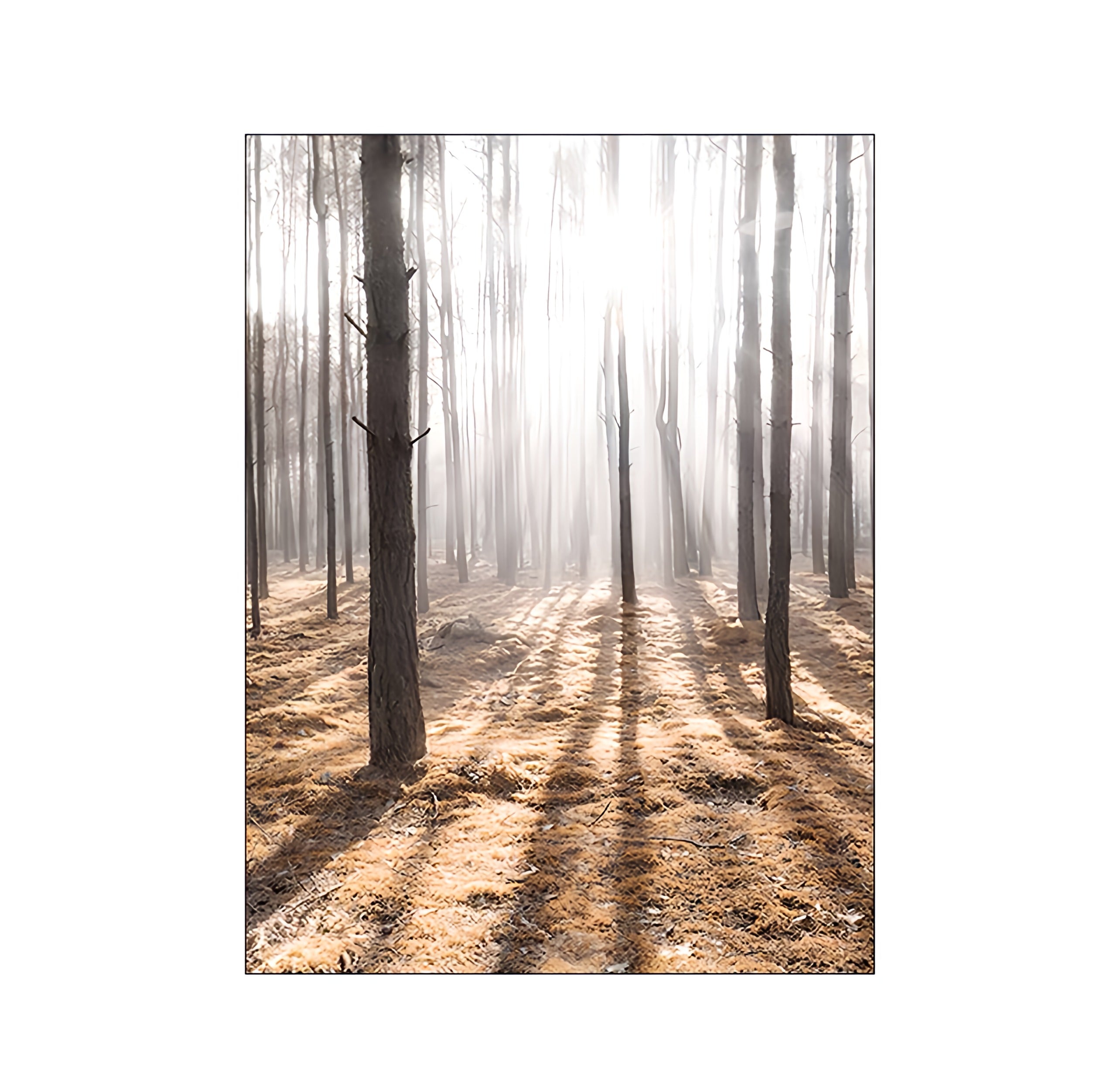 Nature Scenery Wall Art