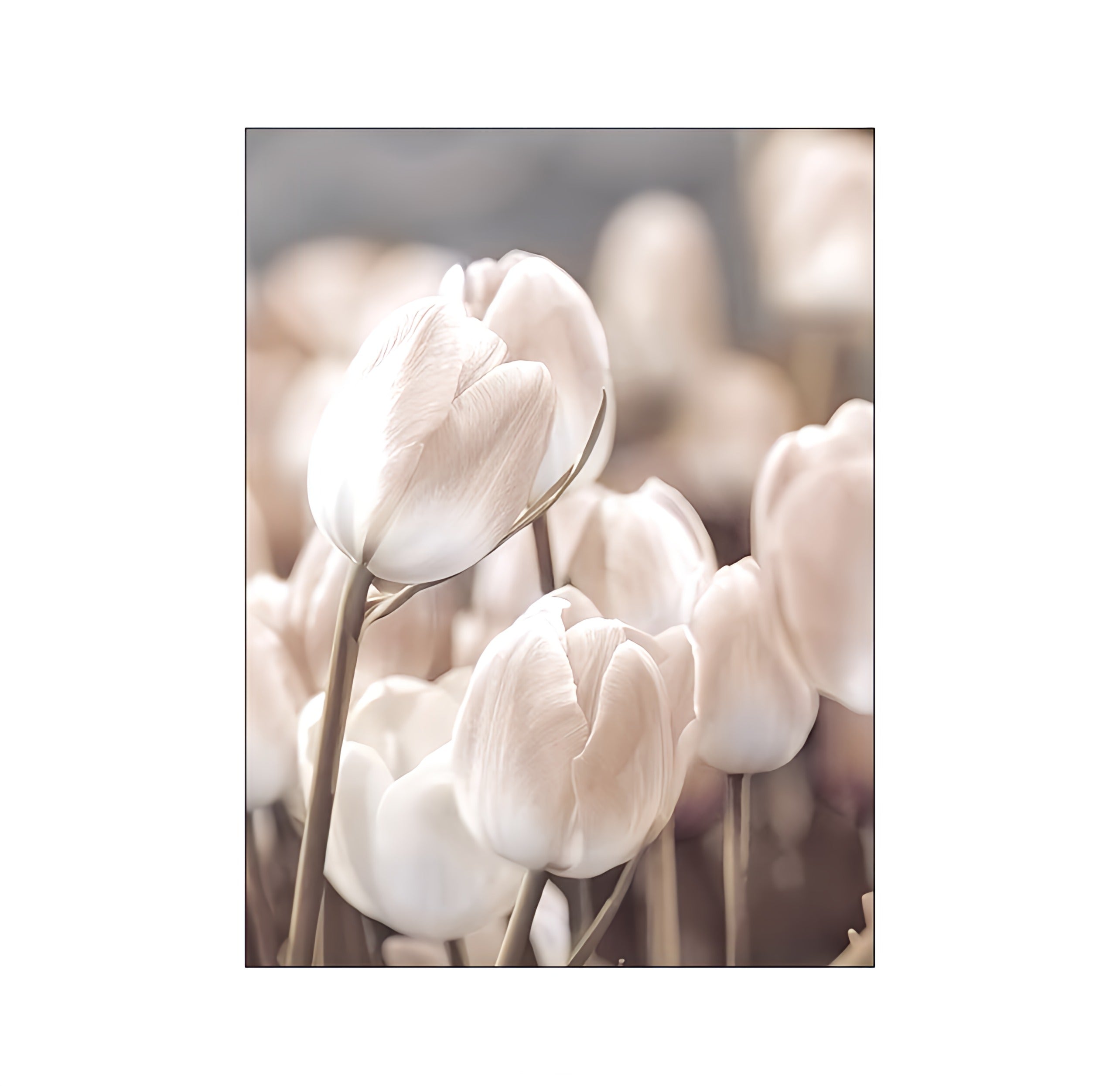 Nature Scenery Wall Art