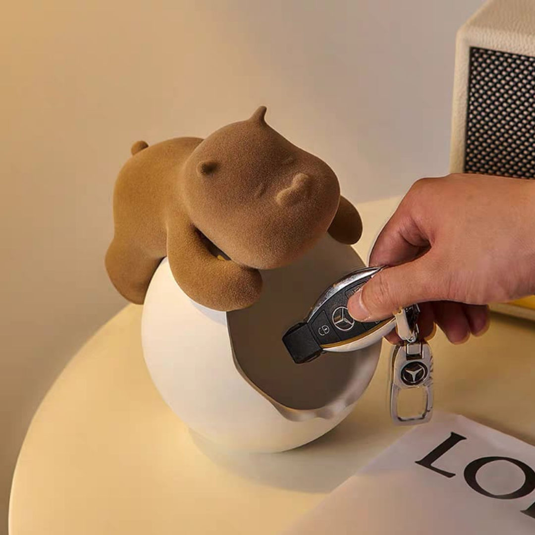 Hipo key holder