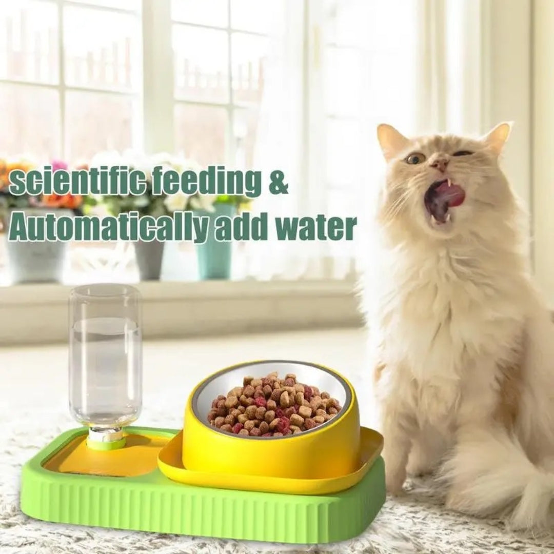 Colored Pet Bowl With Water Dispenser