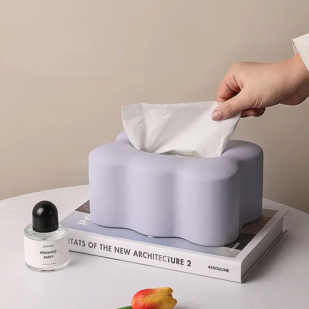 Morandi Color Tissue Box