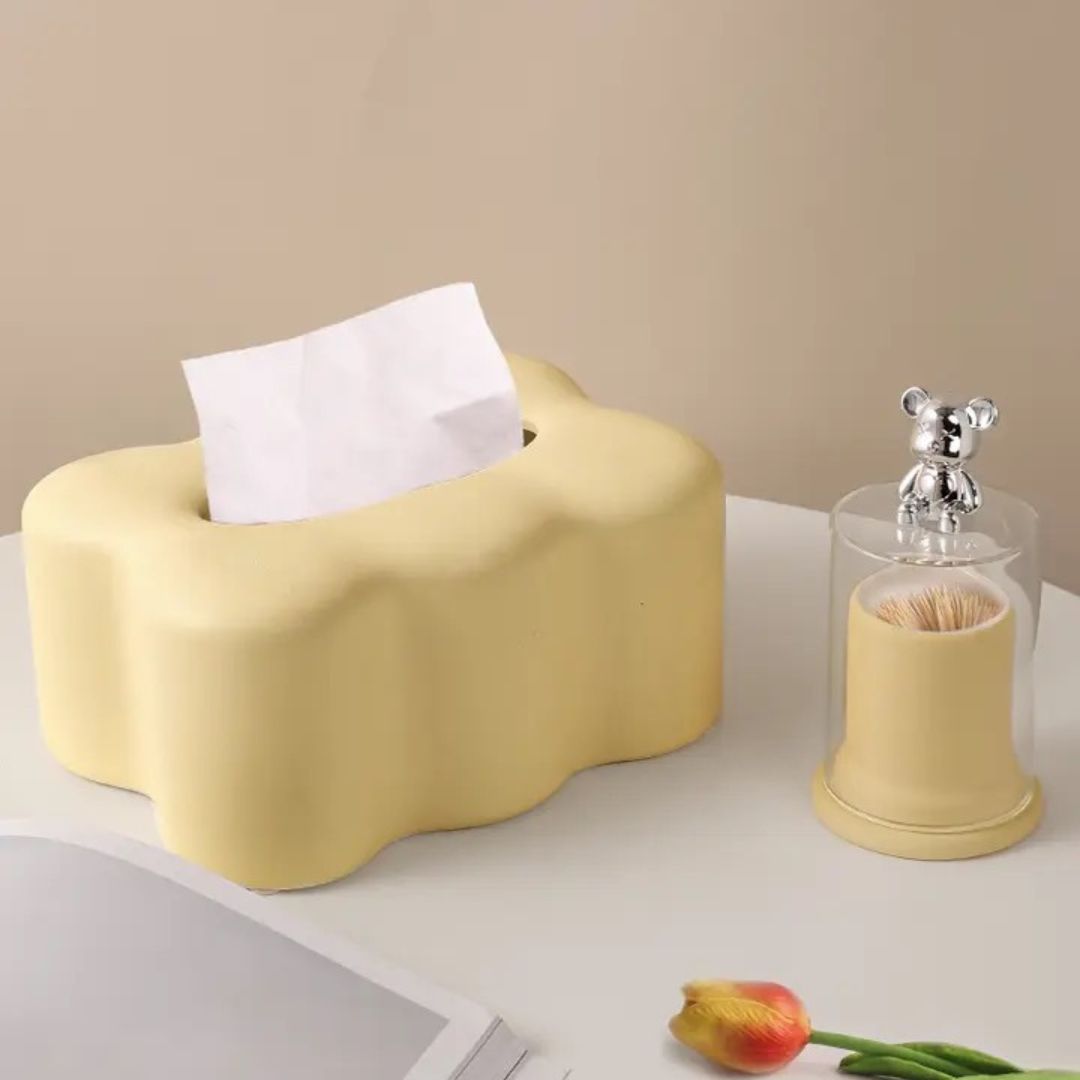 Morandi Color Tissue Box