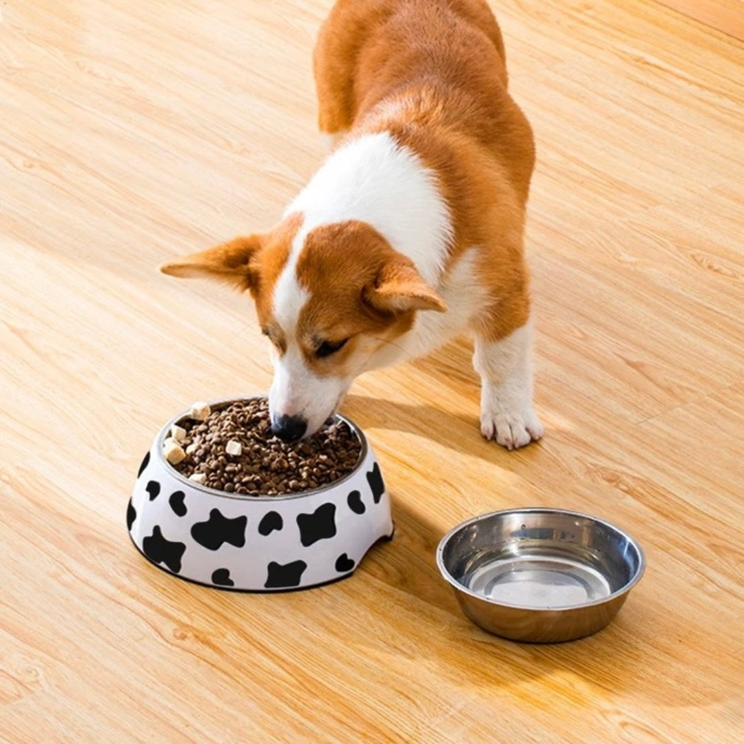 Dog Food Bowl