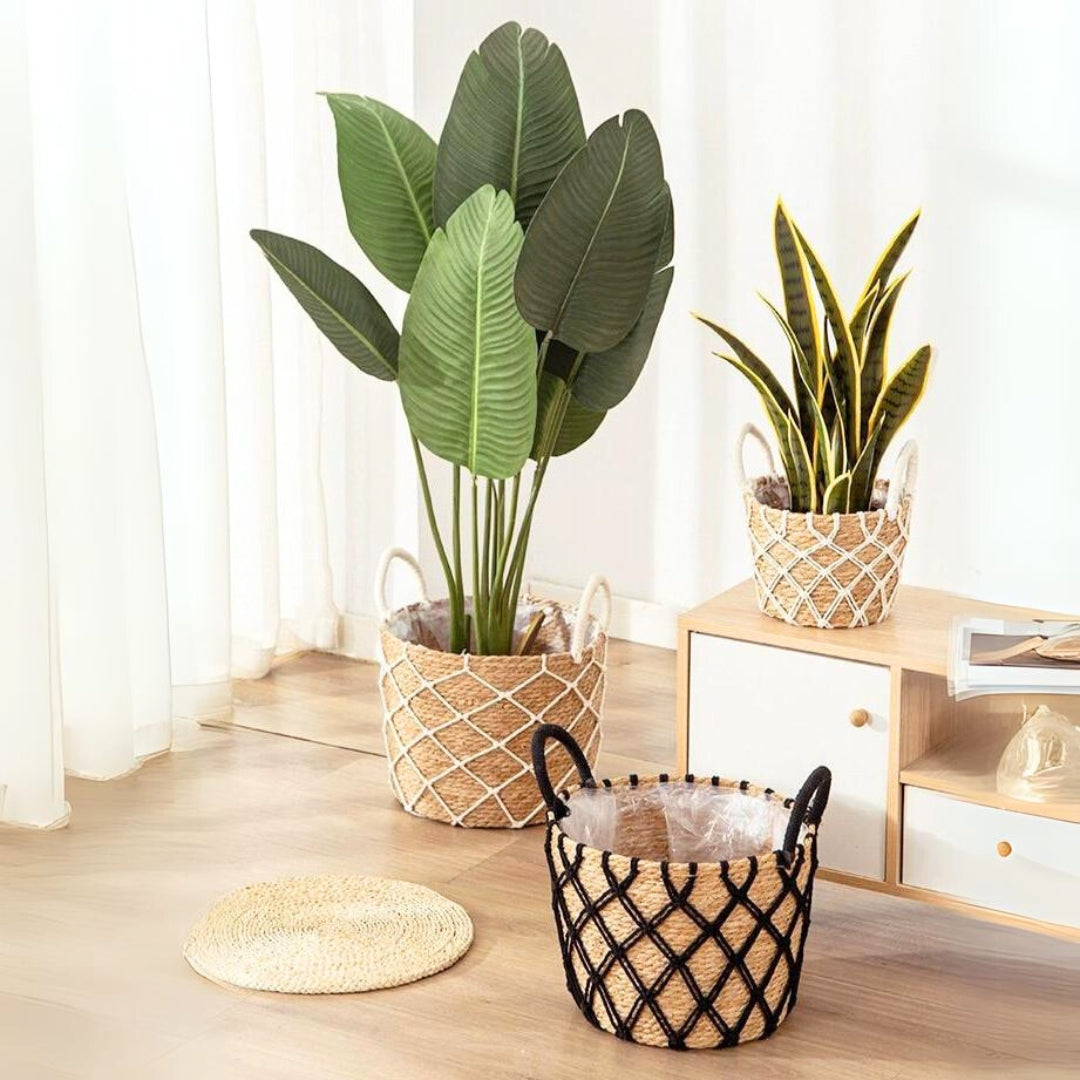 The Straw Basket