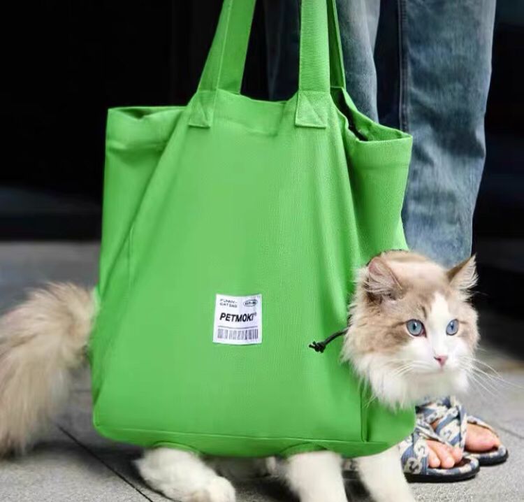 Breathable Cat Carrier Bag