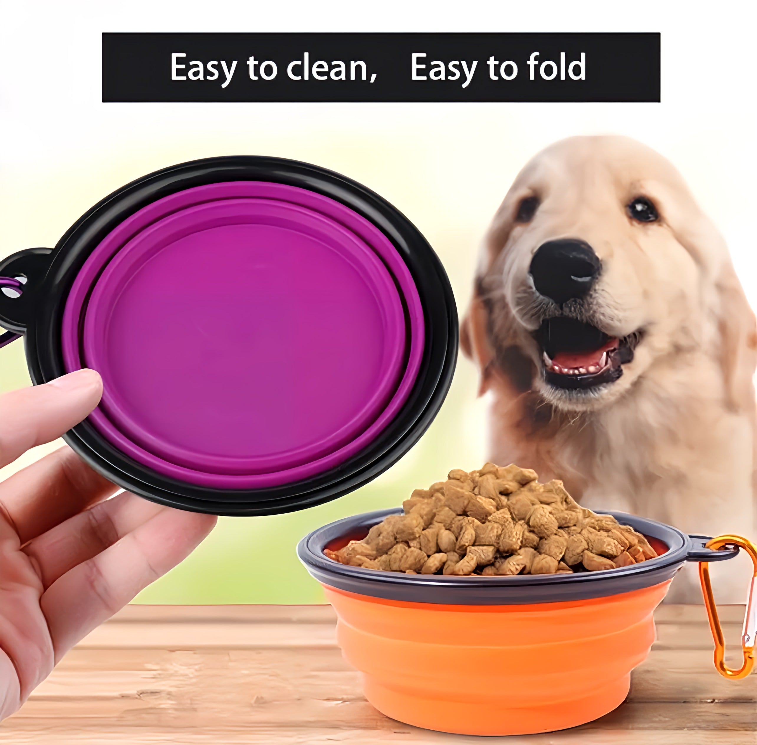 Pet Foldable Bowl