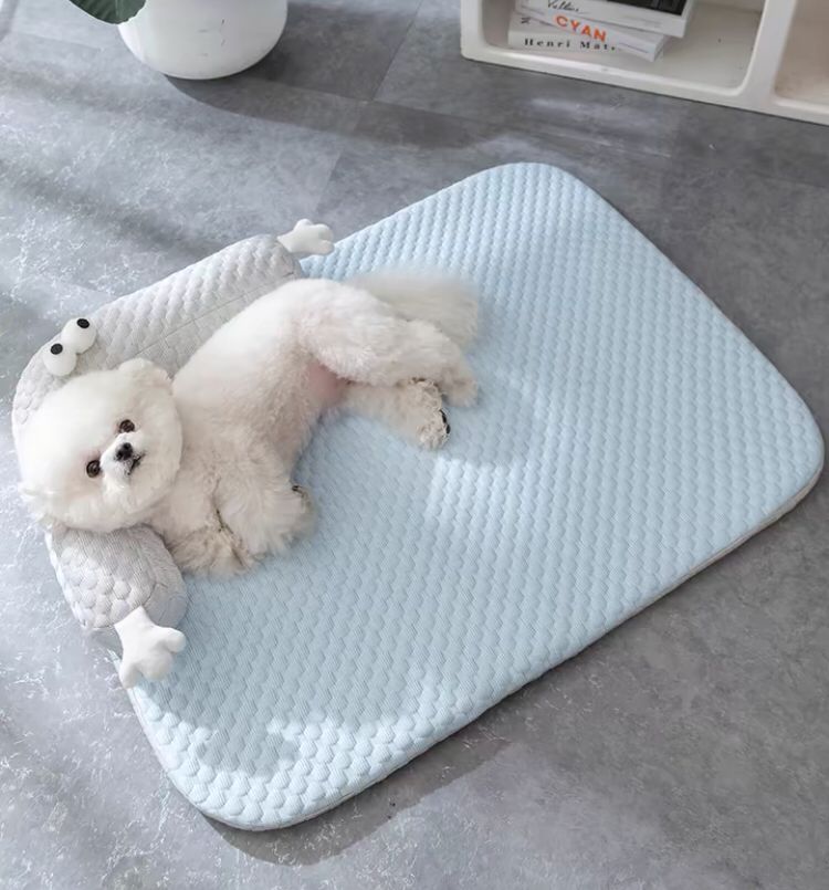 Comfy Summer Pet Mat