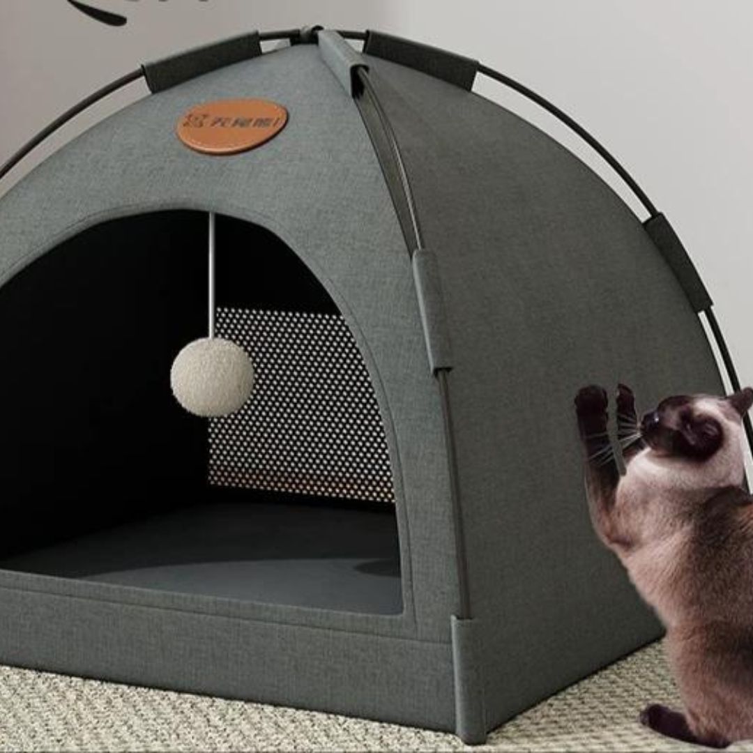 Frisky Cats play tent