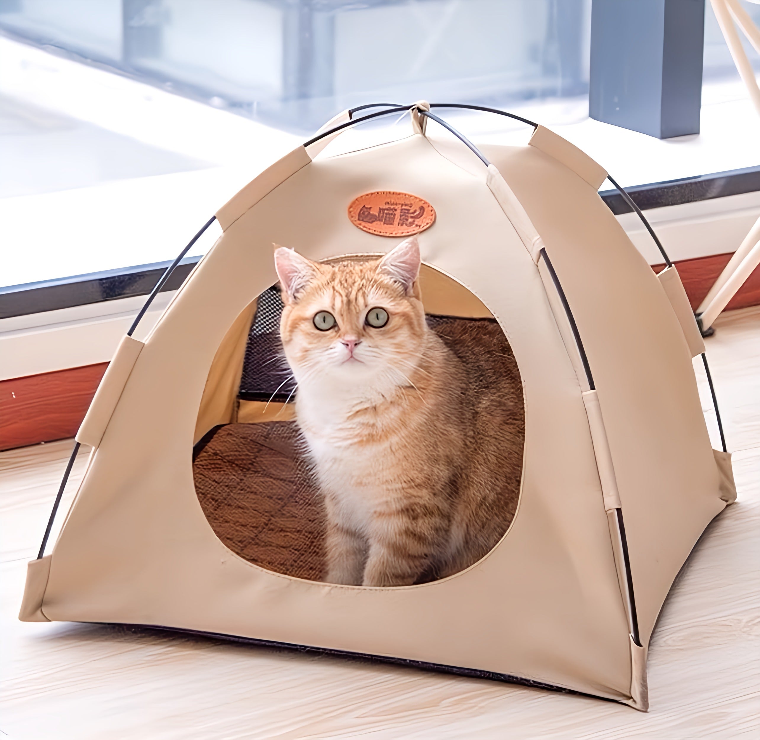 Cat Tent