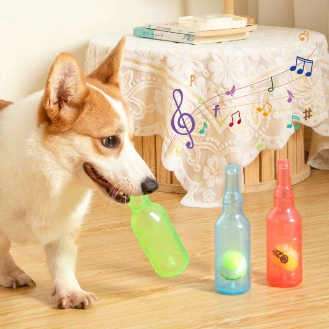 Bottle Toy For Dogs