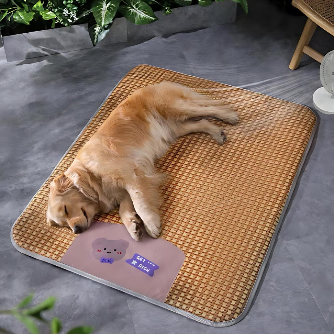 Dogs Cooling Mat