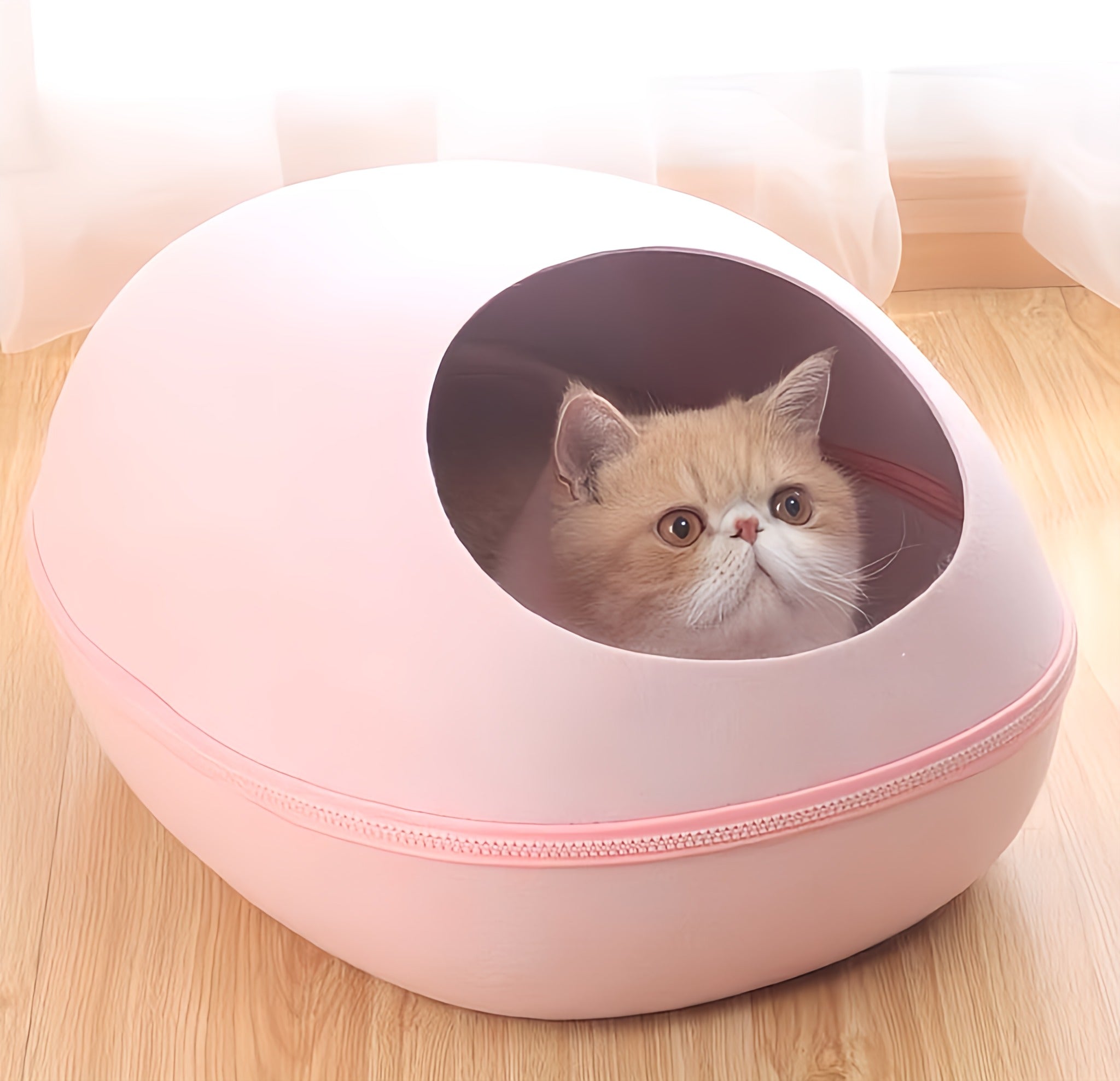 Cat House