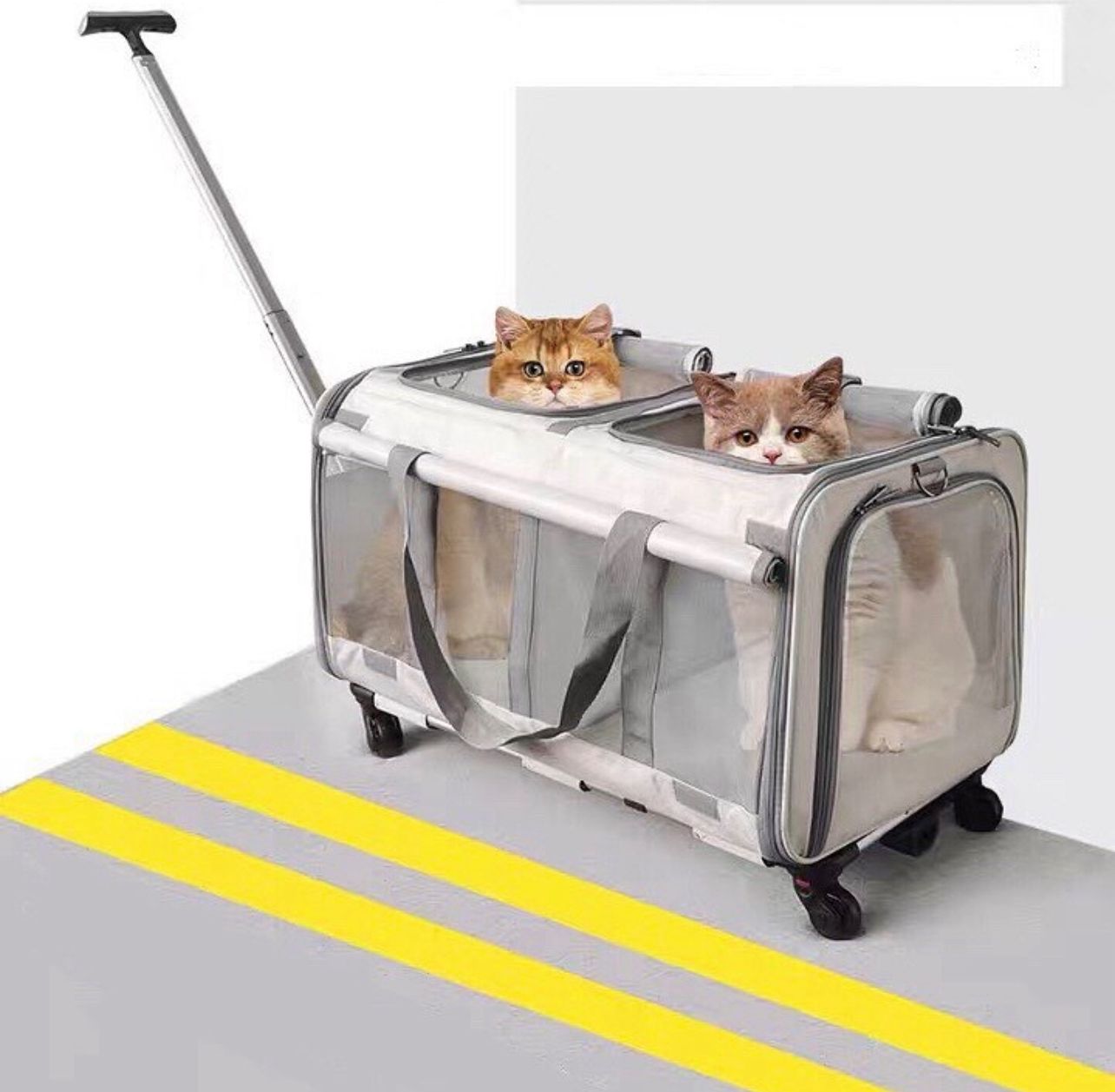 Pet Trolley Suitcase