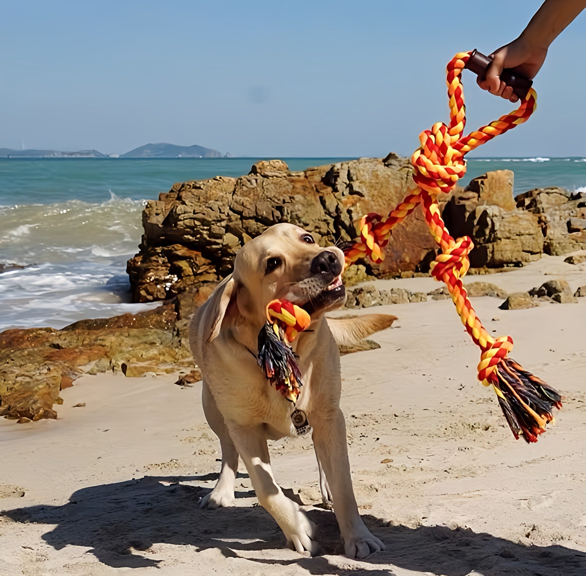 Dog Rope Toy