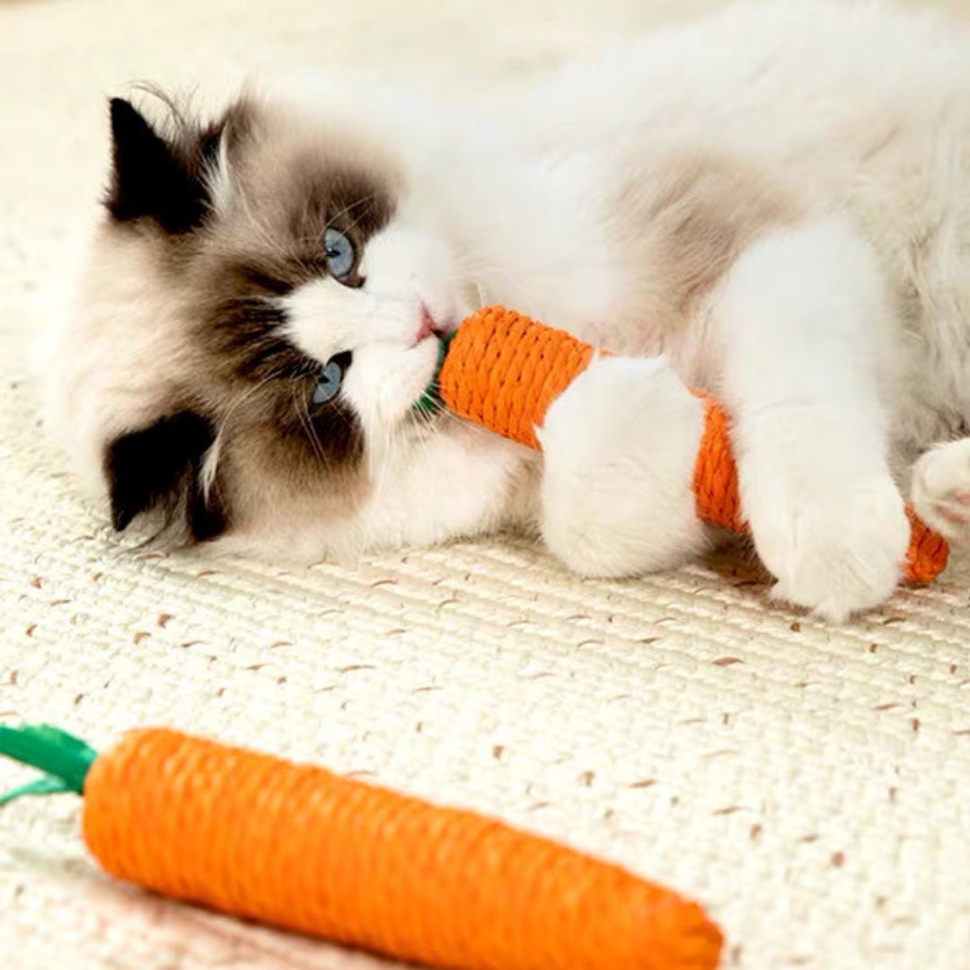 Cat Carrot Toy + Tunnel Bag