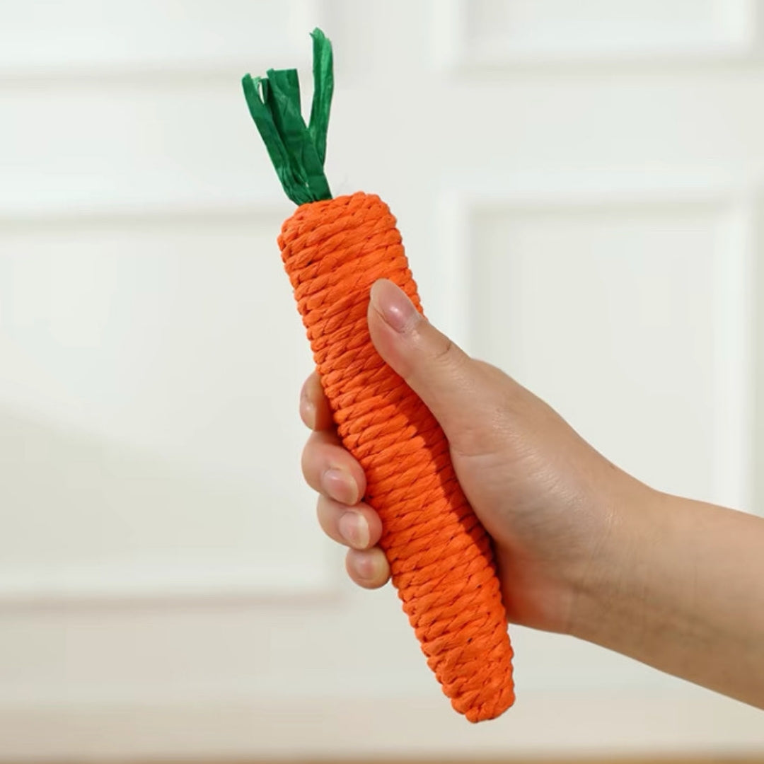 Cat Carrot Toy + Tunnel Bag