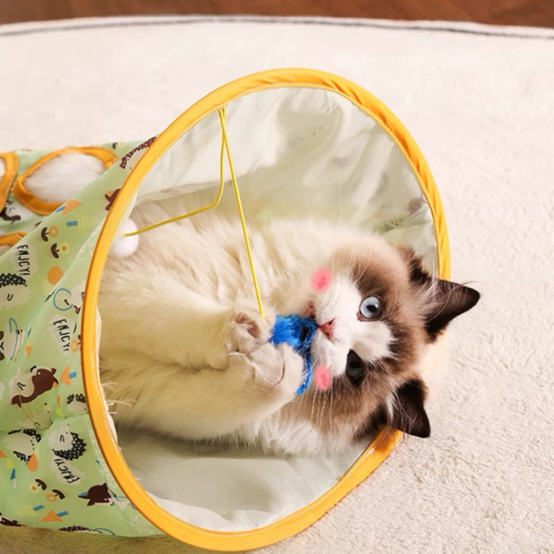 Cat Carrot Toy + Tunnel Bag