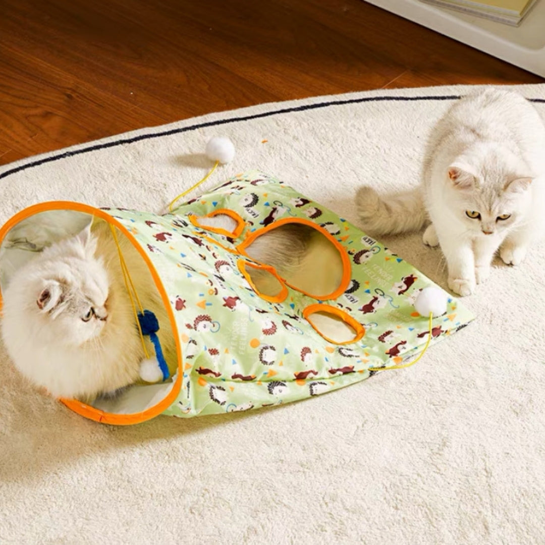 Cat Carrot Toy + Tunnel Bag