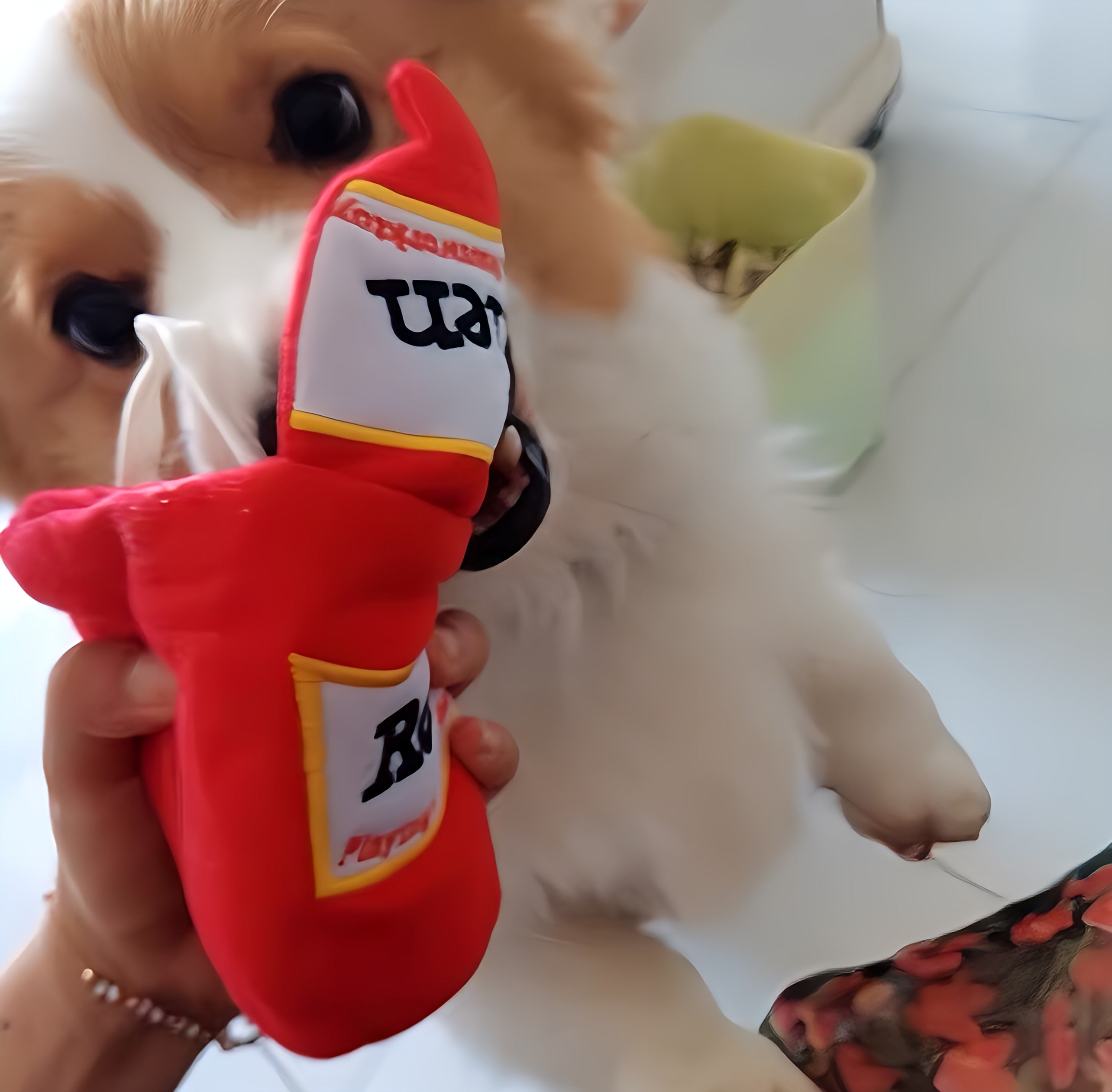 Interactive Dog Toy