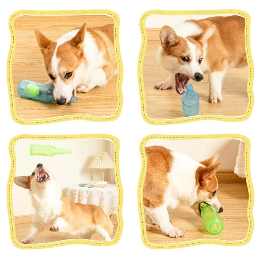 Bottle Toy For Dogs