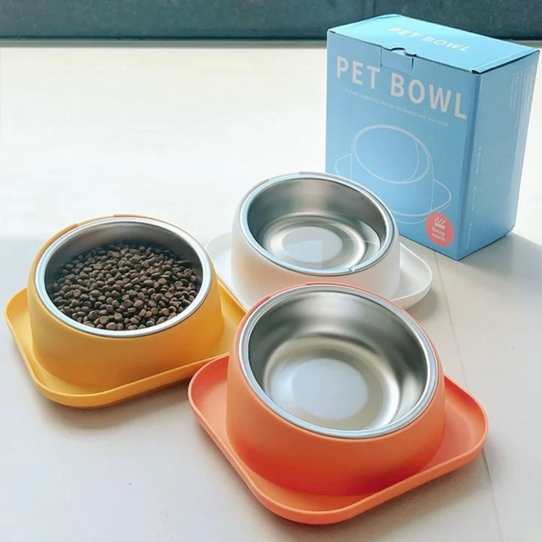 Colored Pet Bowl