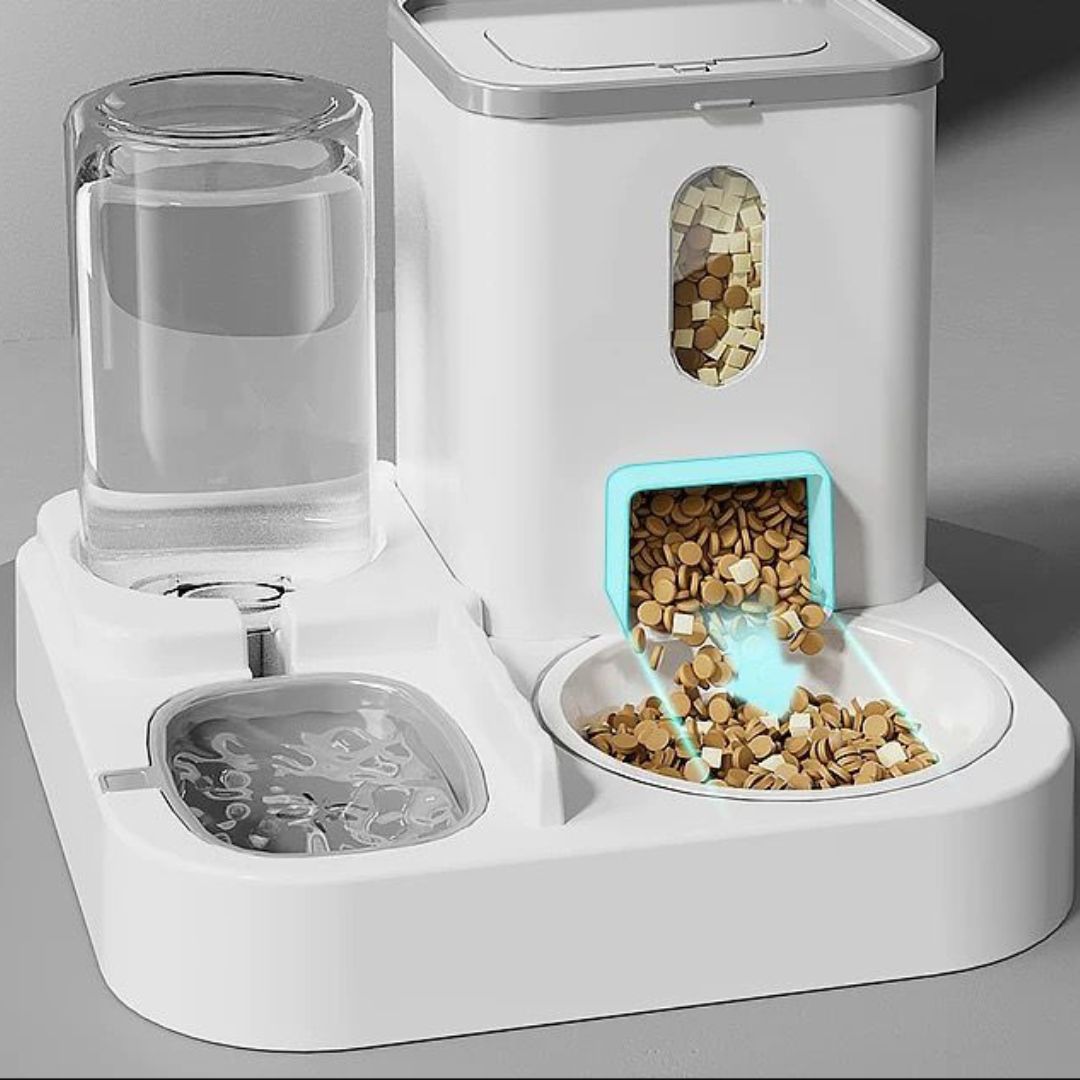 Food and water dispenser