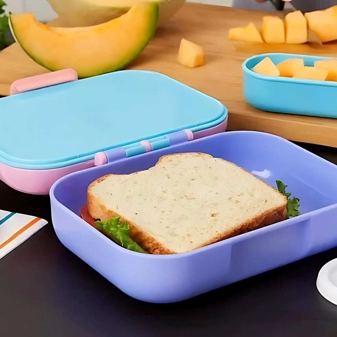 The Divided Lunch Box