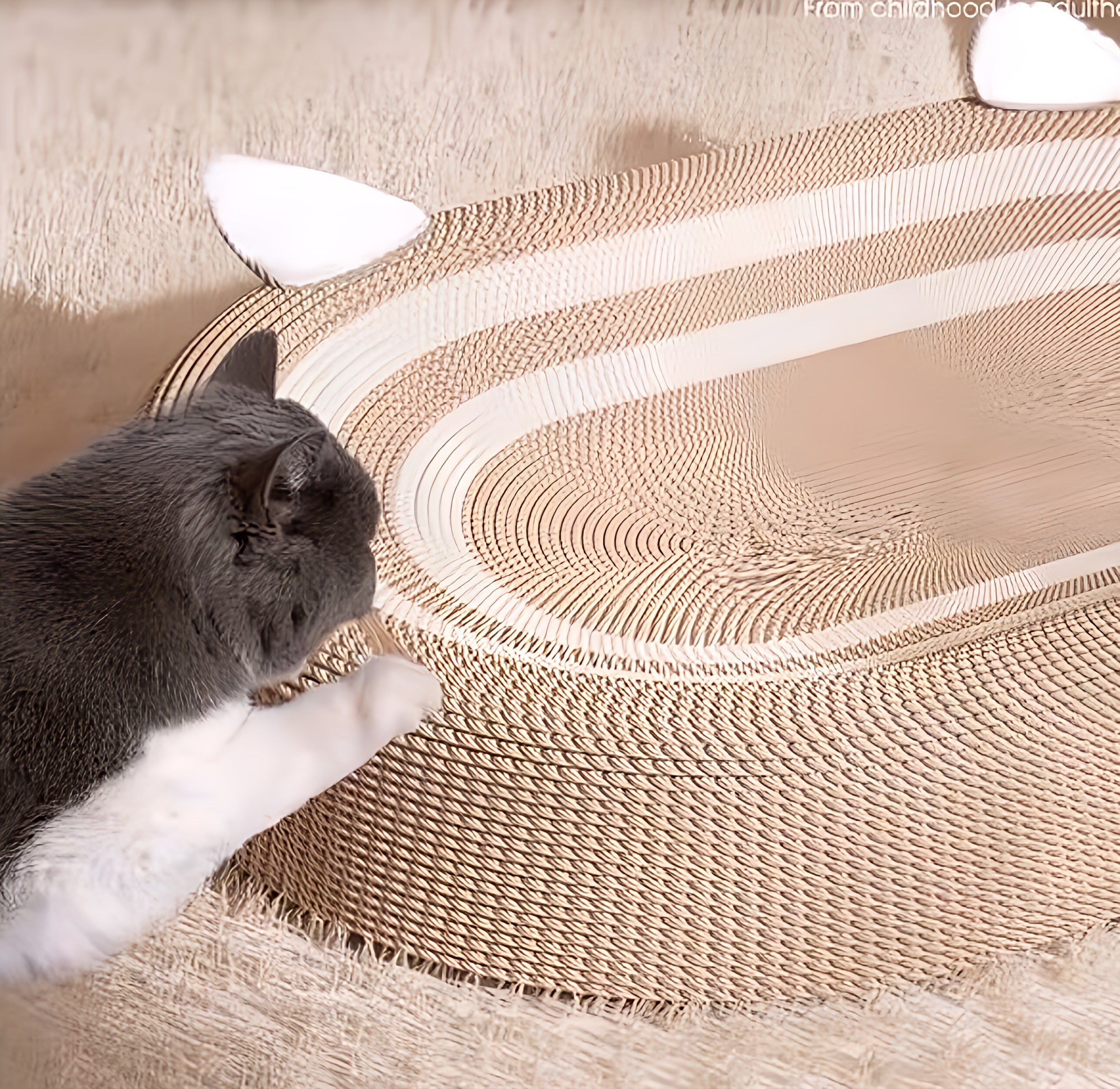 Cat Scratching Board