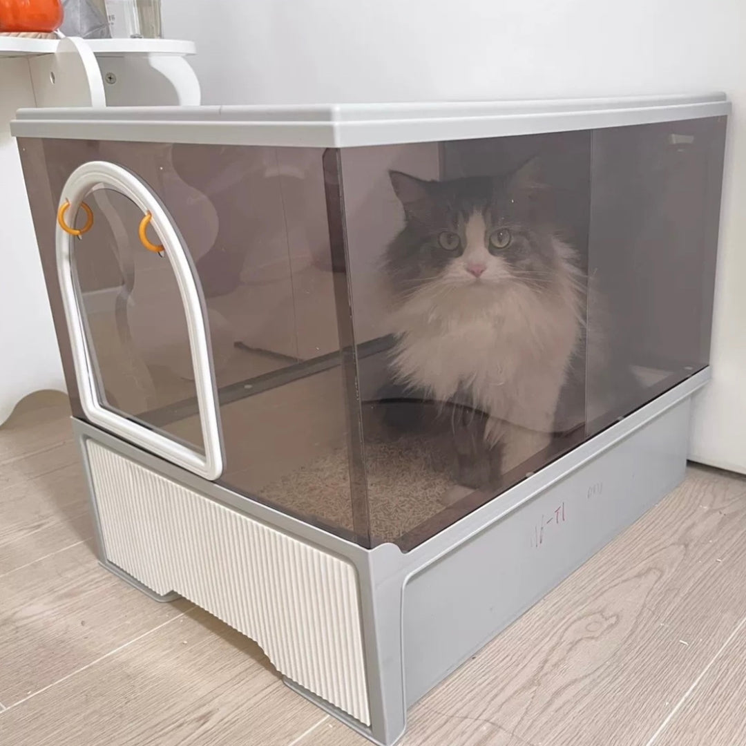 Transparent Large litter Box