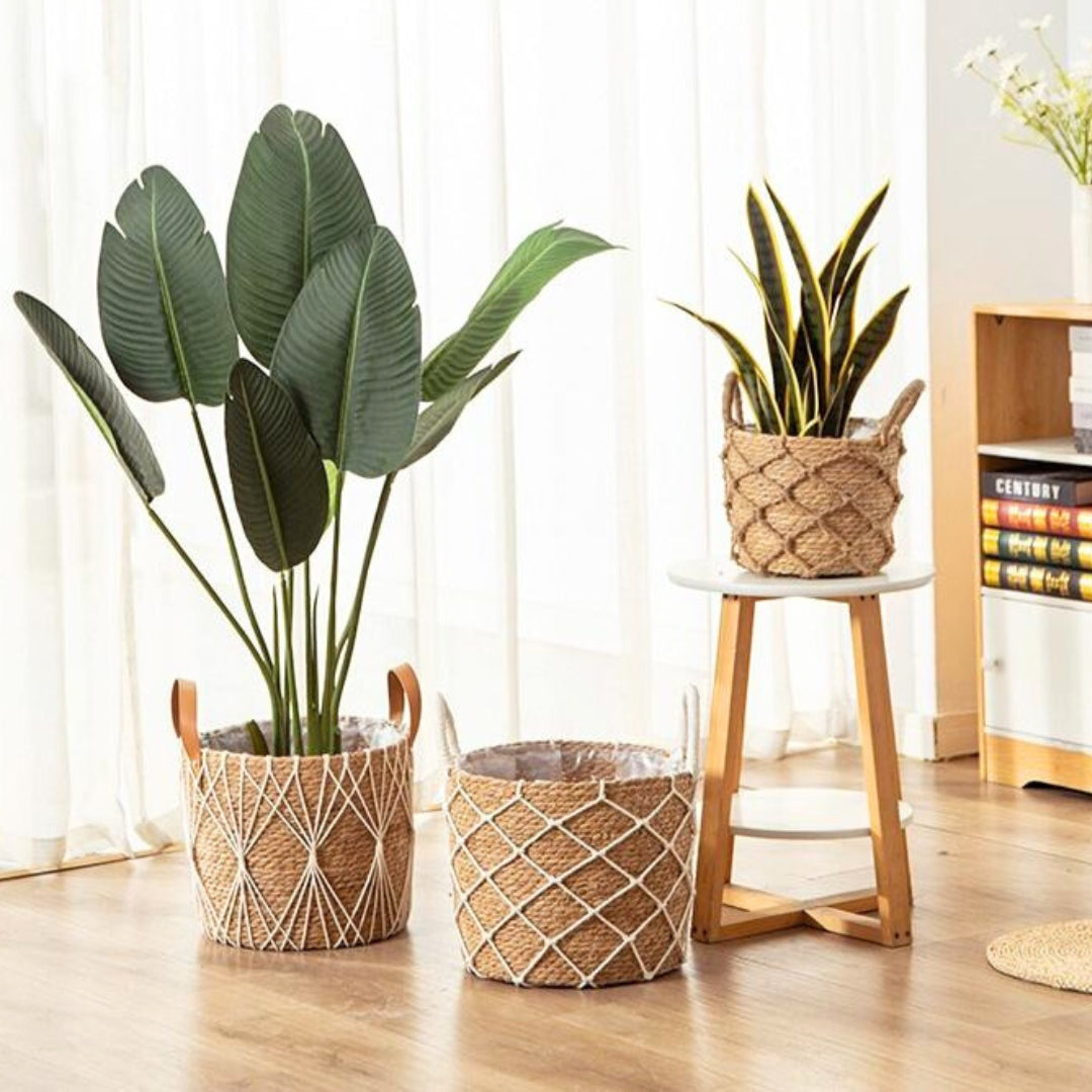 The Straw Basket