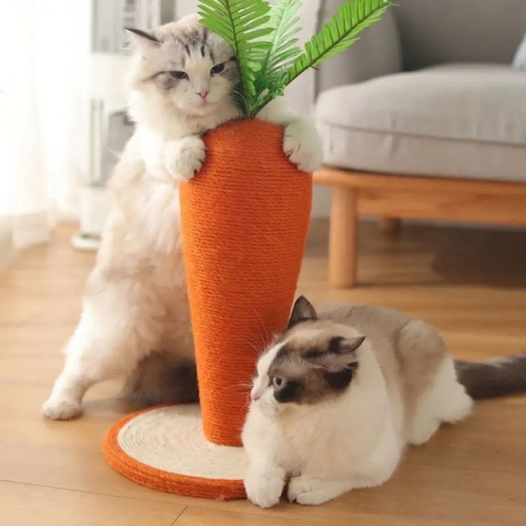 Carrot Scratching Post