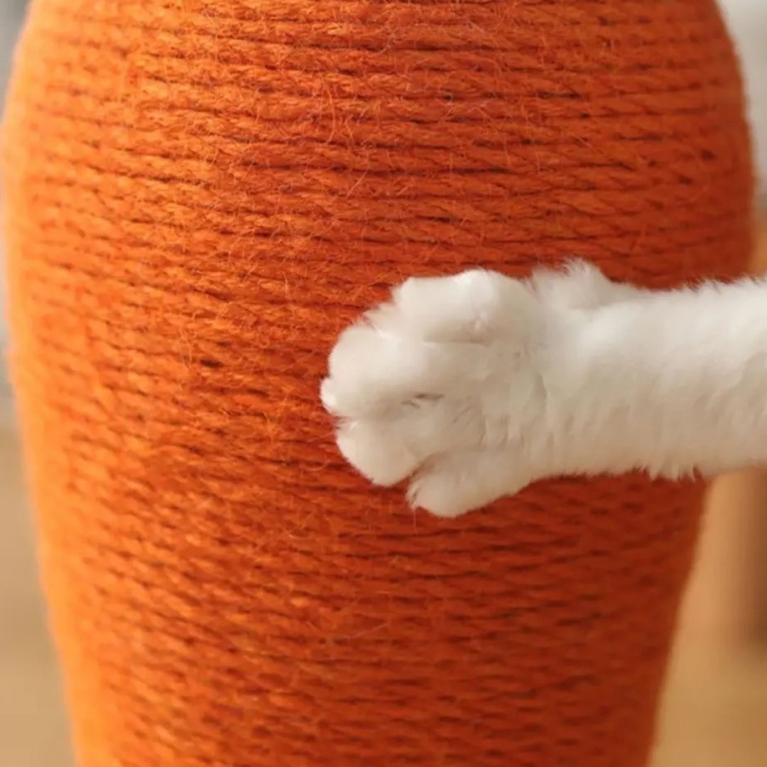 Carrot Scratching Post