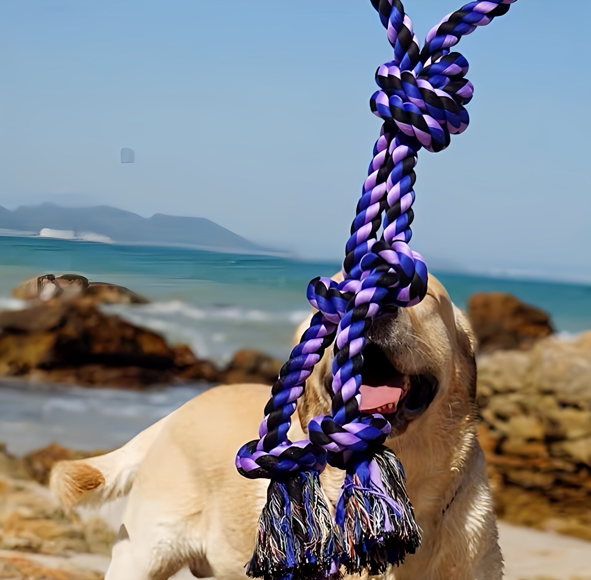 Dog Rope Toy