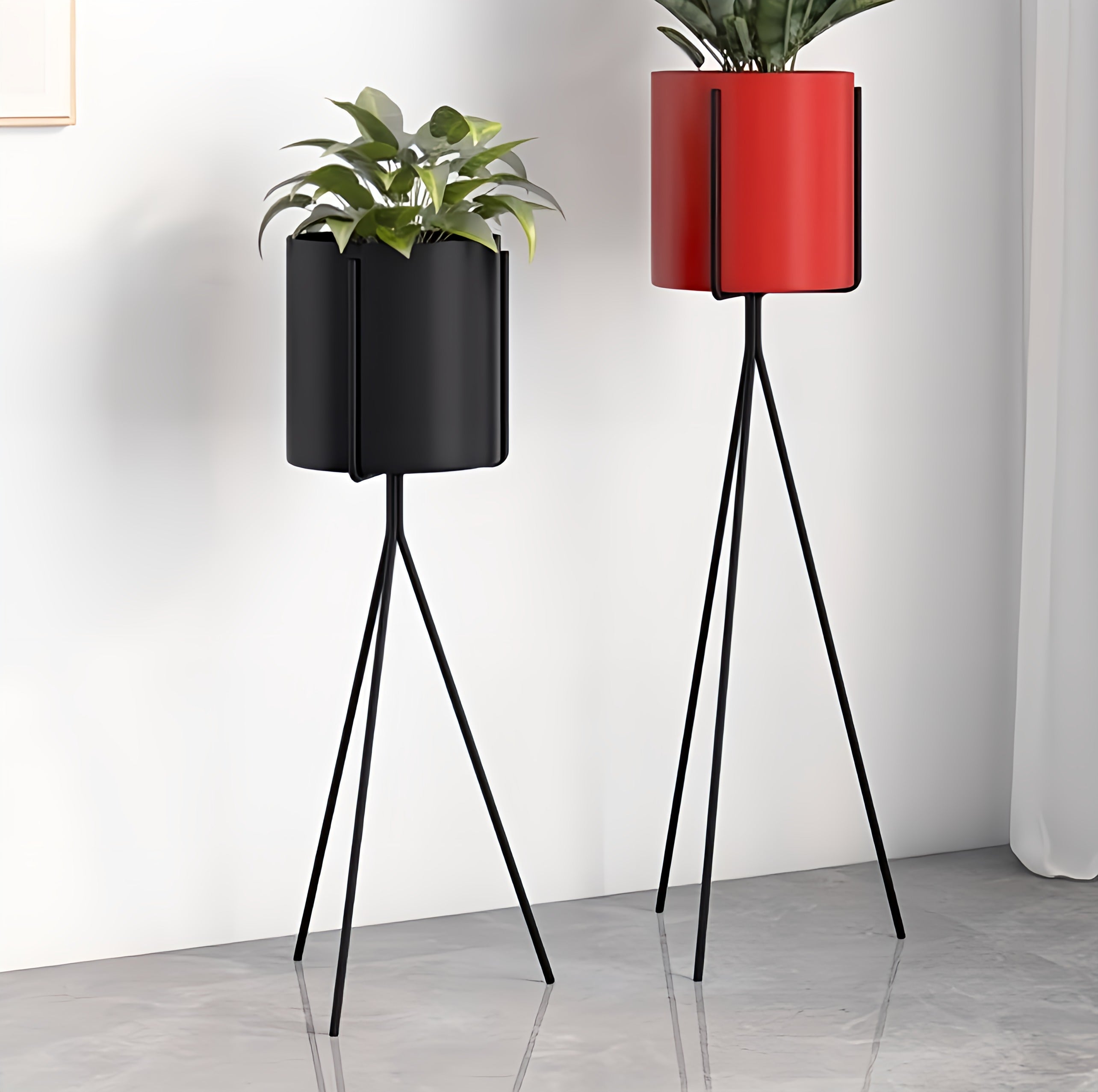 Plant Pots