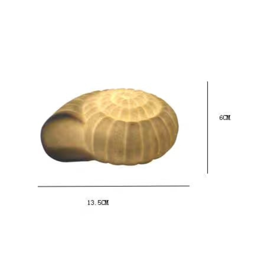Coquille table lamp