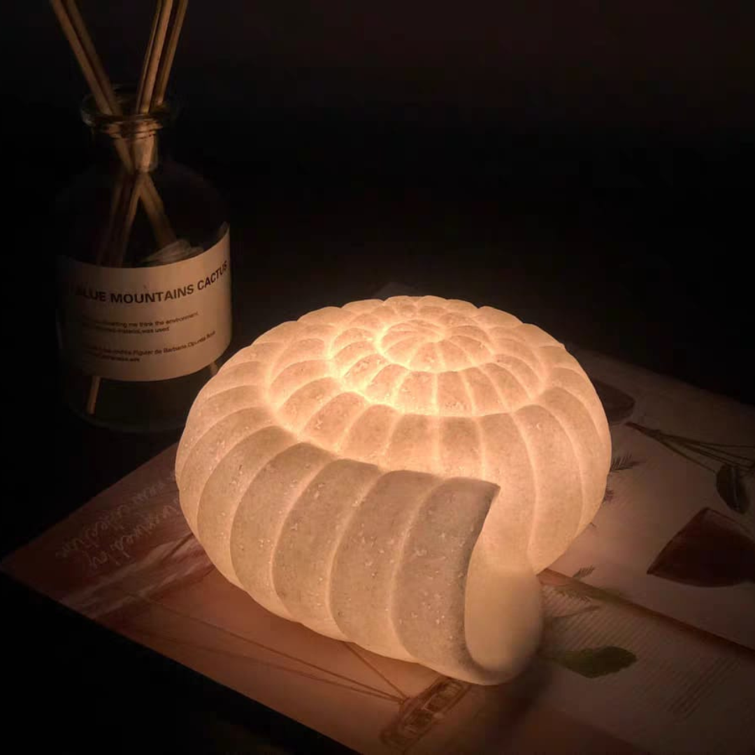 Coquille table lamp
