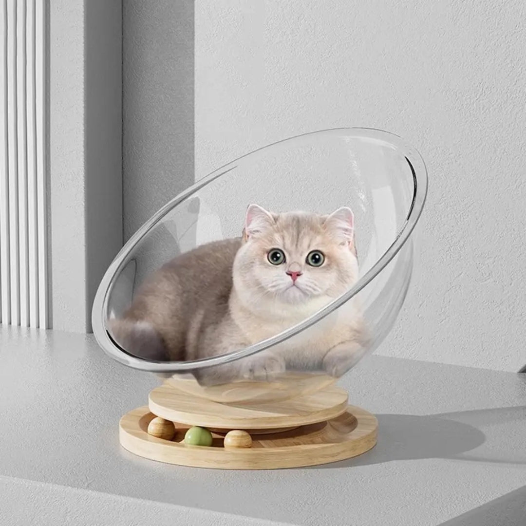 Space Capsule Cat Bed