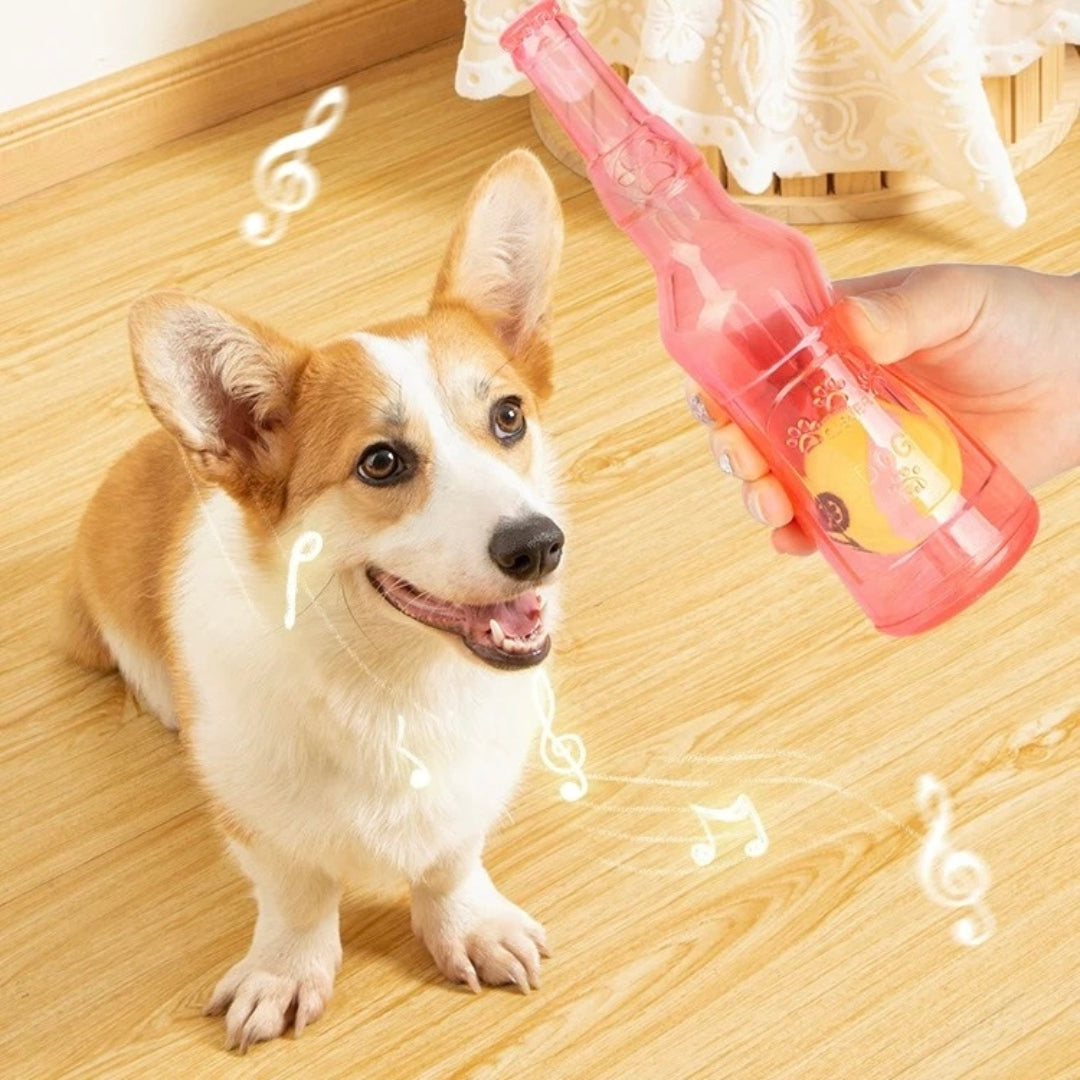 Bottle Toy For Dogs