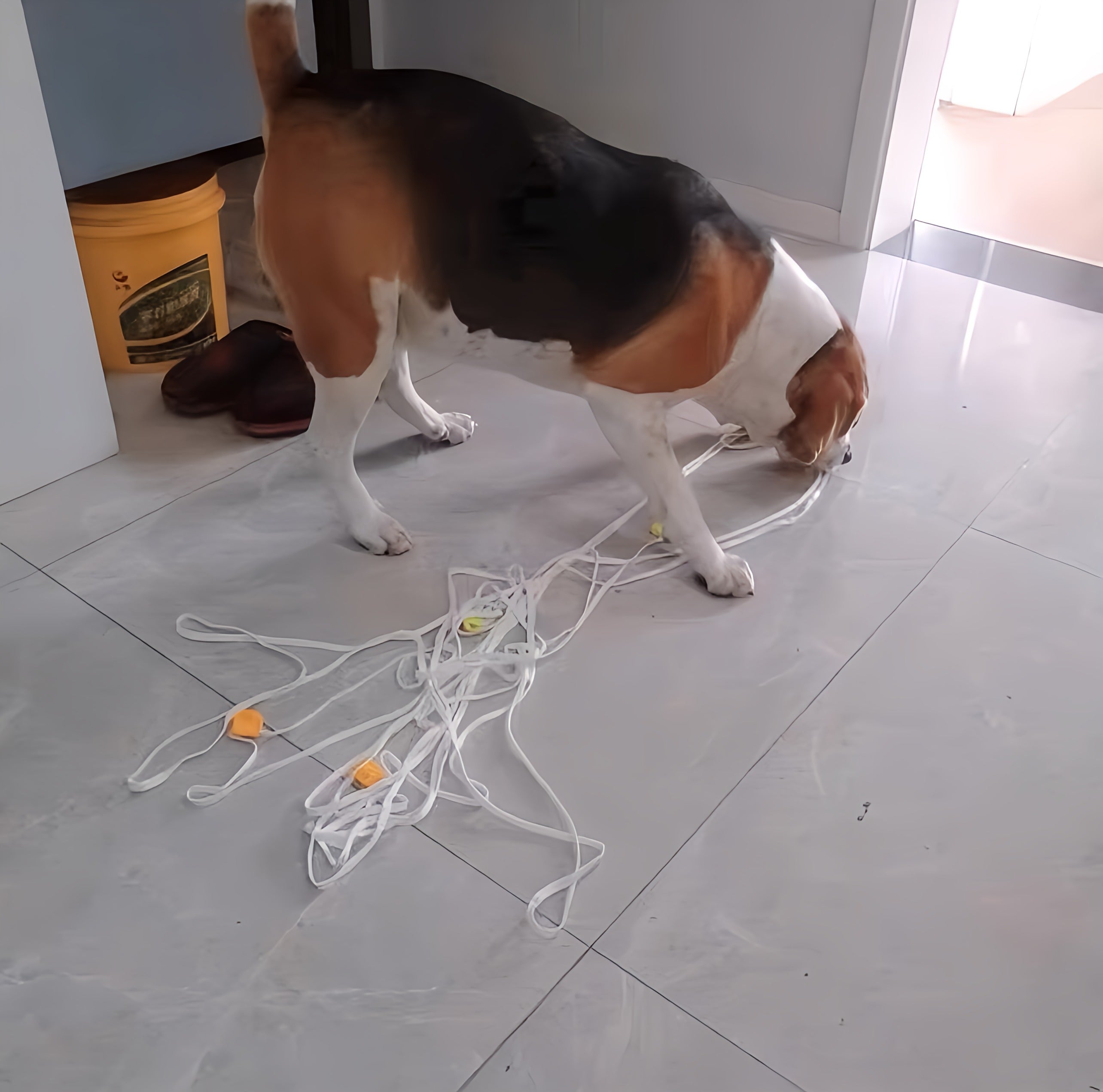 Interactive Dog Toy