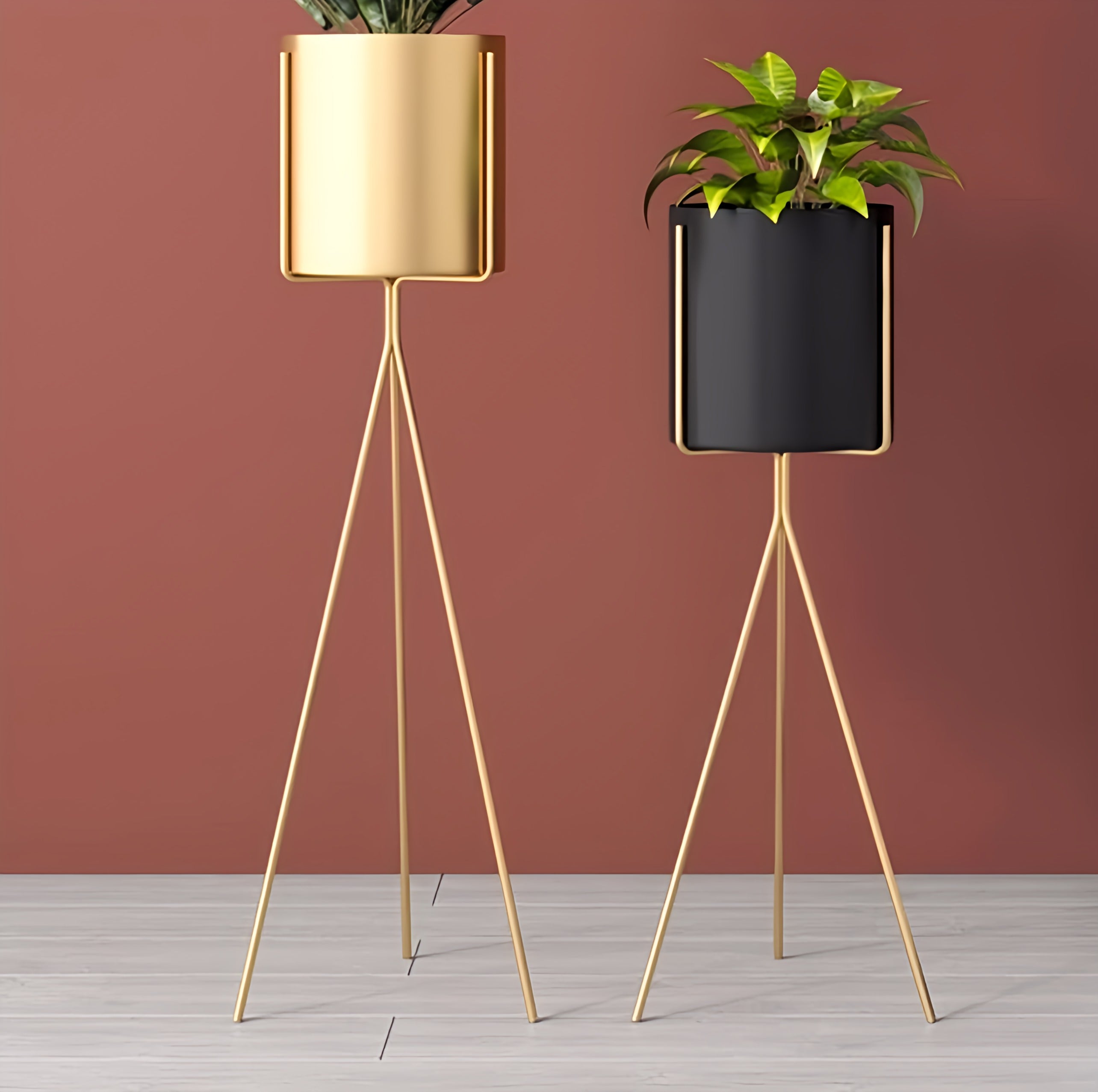 Plant Pots