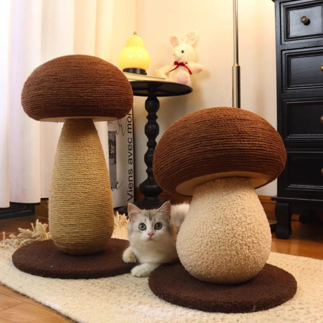 Caty cat scratcher