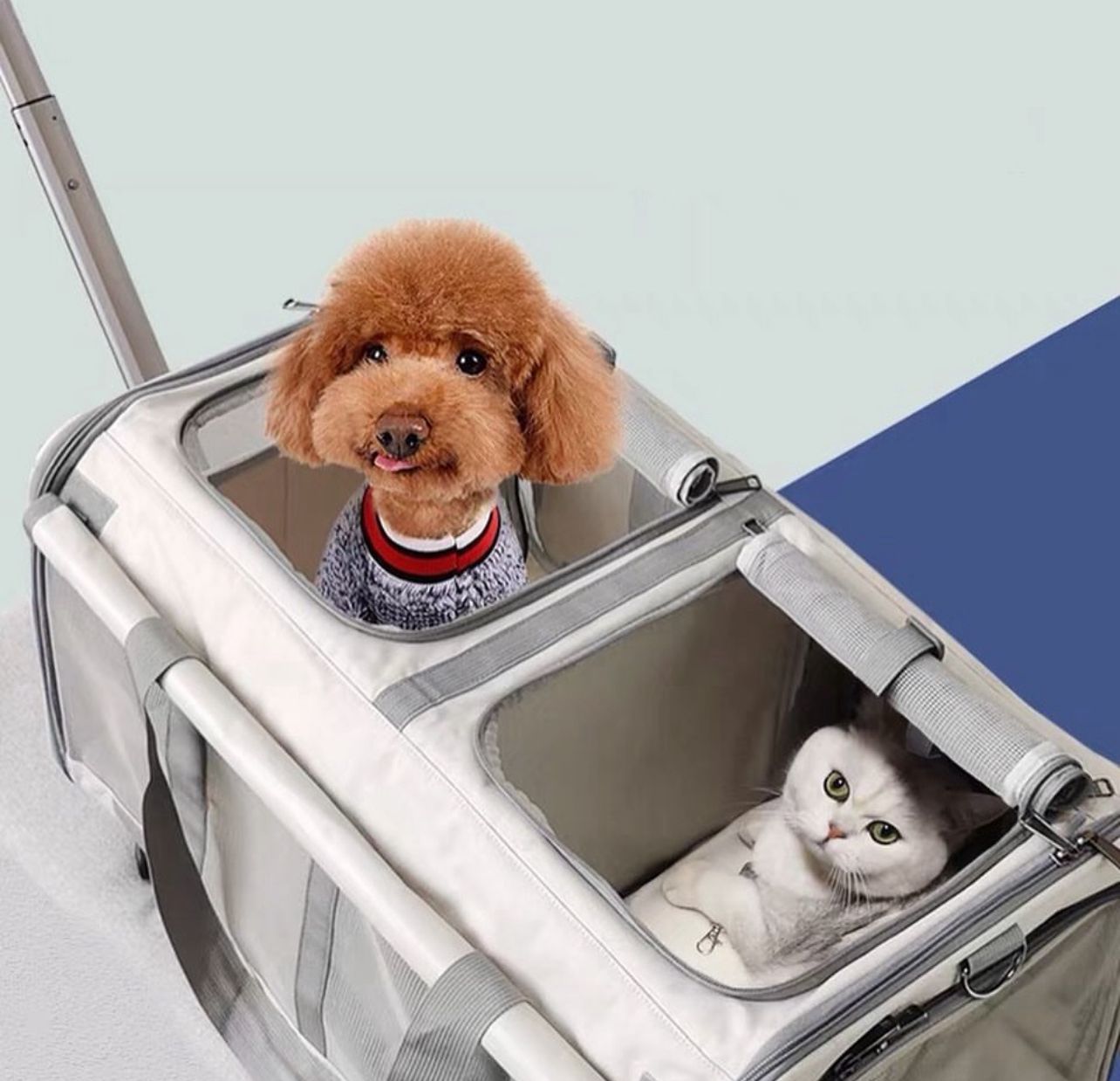 Pet Trolley Suitcase