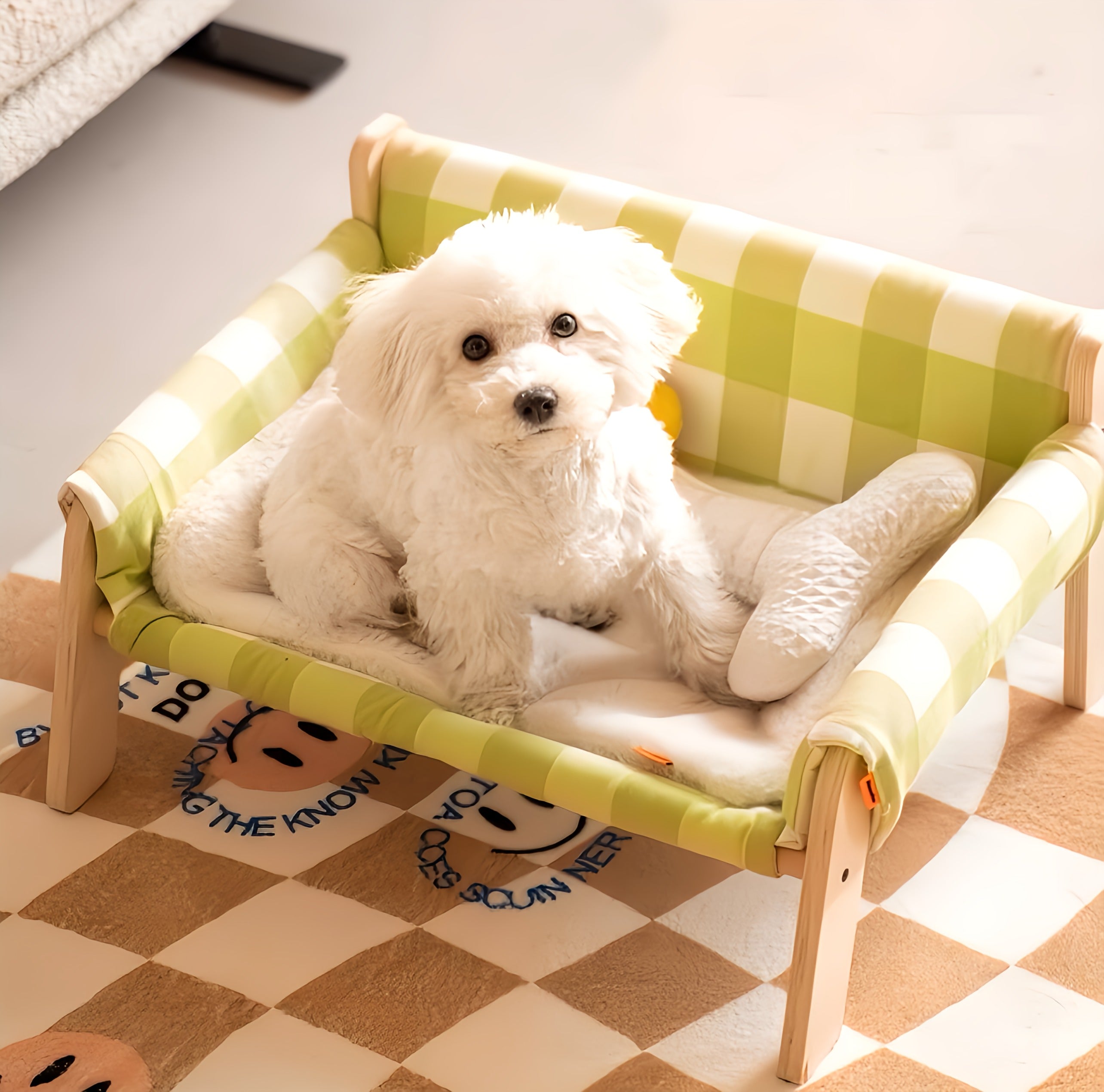 Cat & Dog  Couch