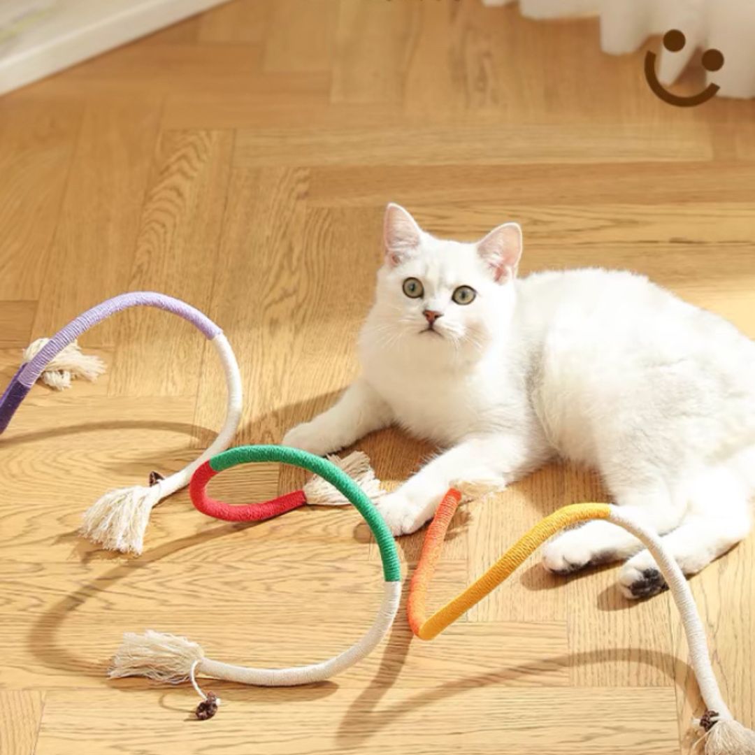 Cat Teasing Rope Toy