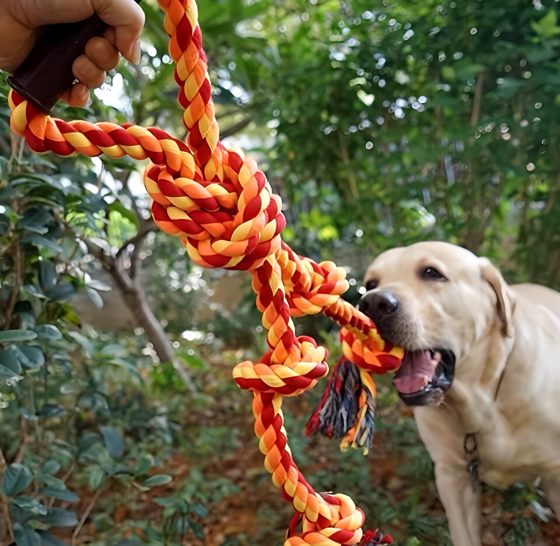 Dog Rope Toy