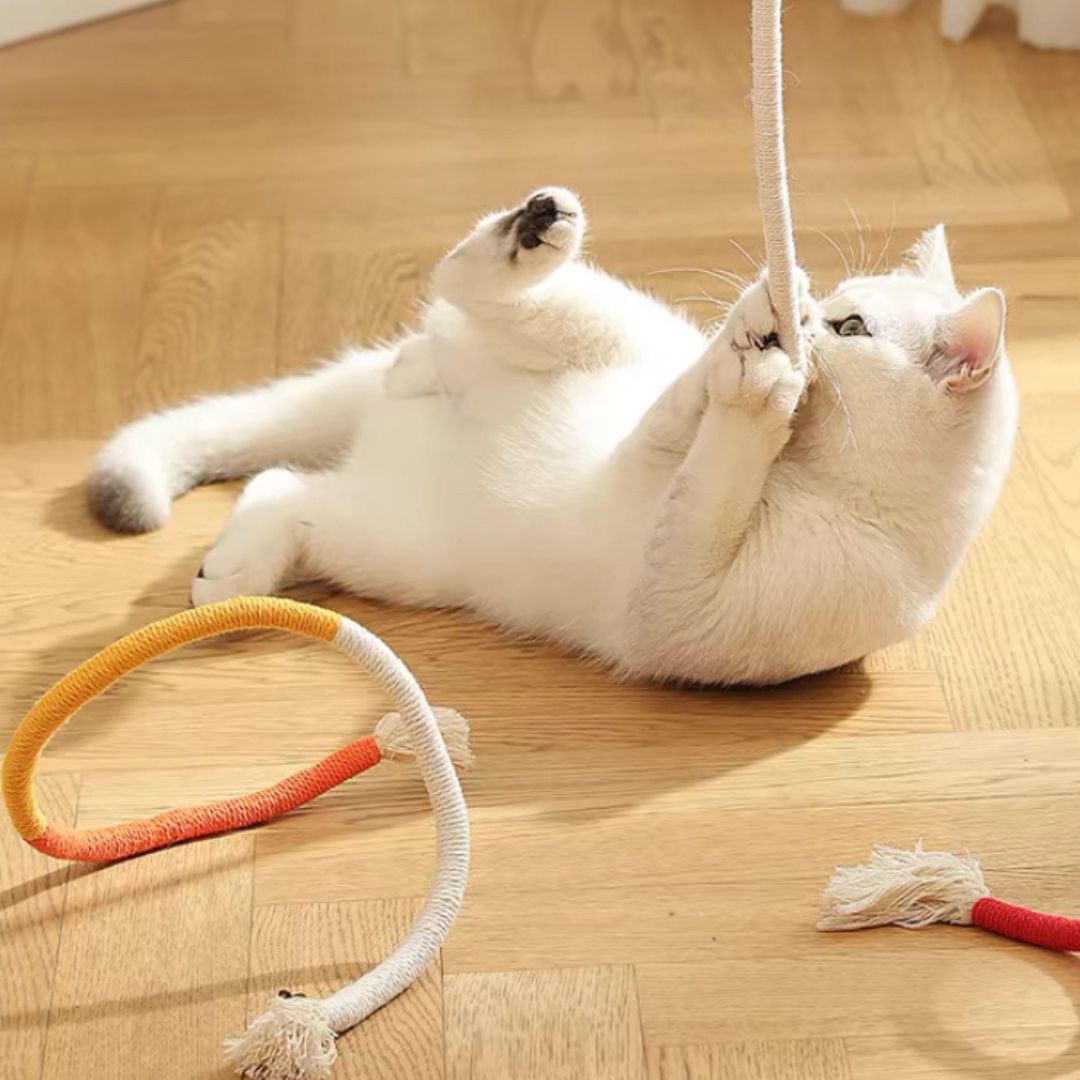 Cat Teasing Rope Toy