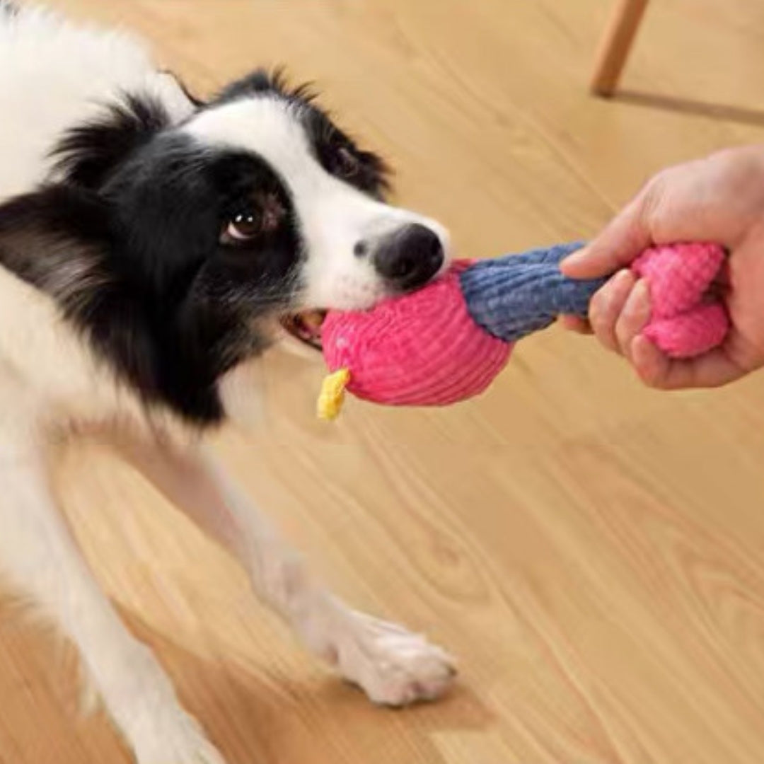 Pet Plush Squeaky Toy